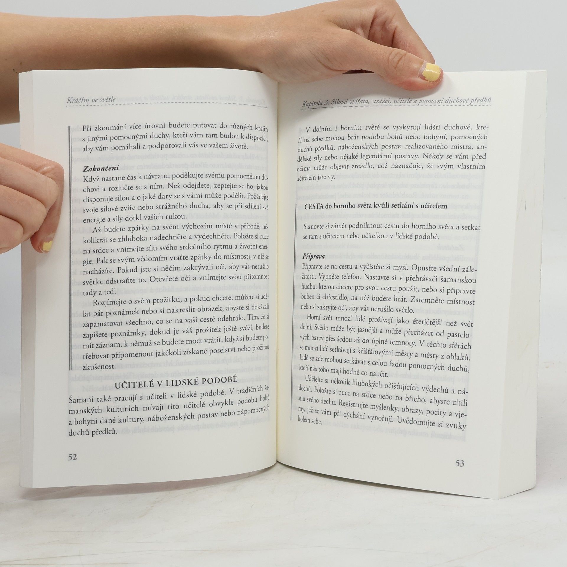 Sandra Ingerman Kráčím ve světle - Každodenní podpora šamanského života