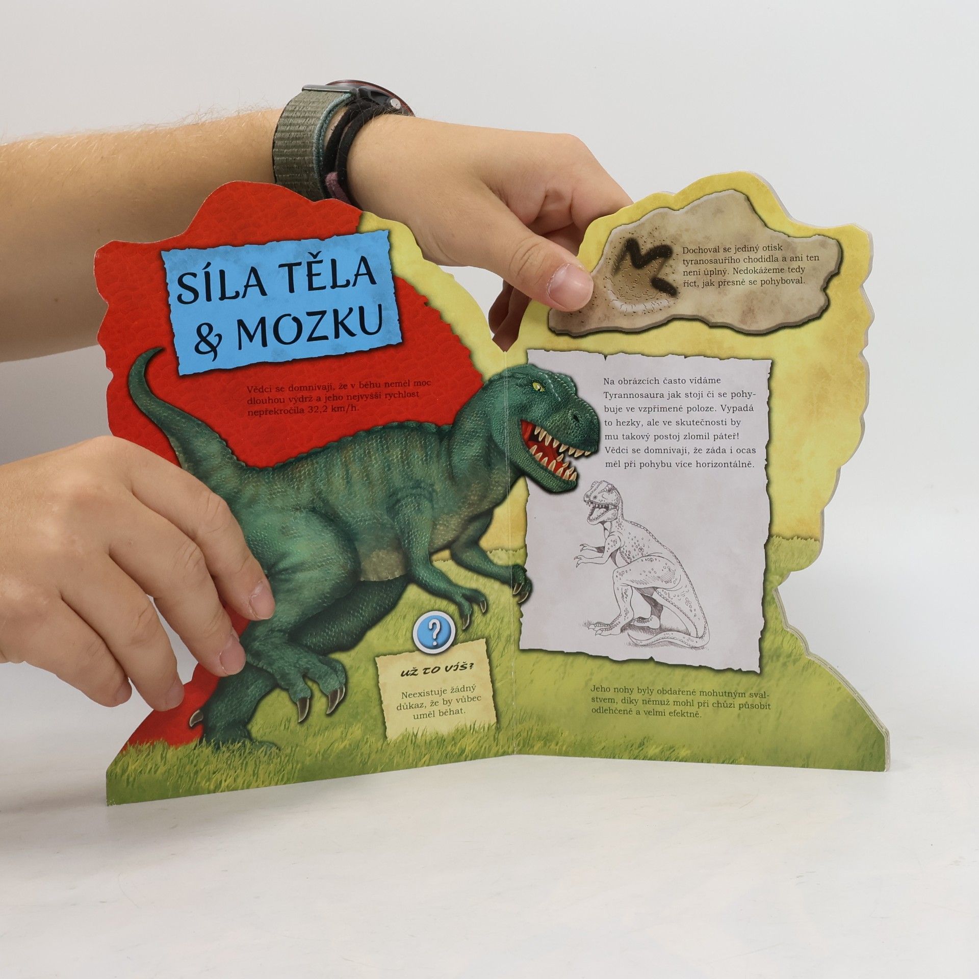 Alexandra Niklíčková Ukrutný Tyrannosaurus rex