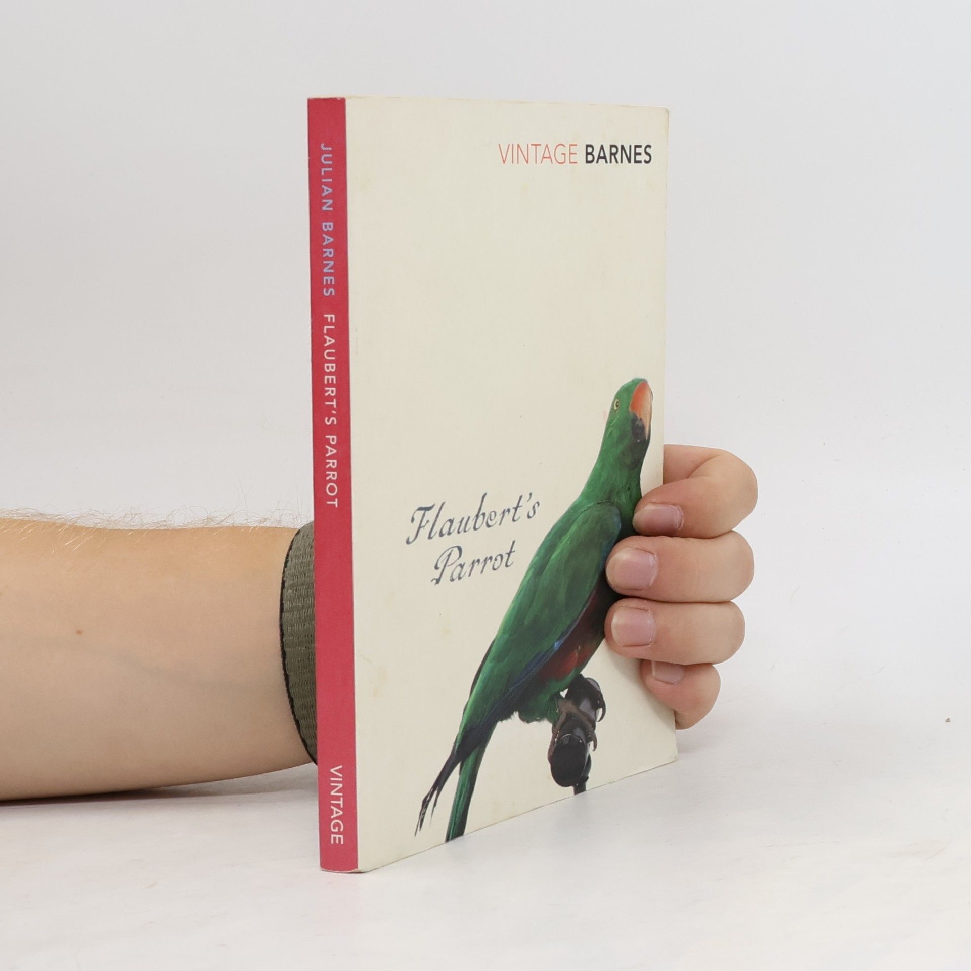 Julian Barnes Flaubert's Parrot