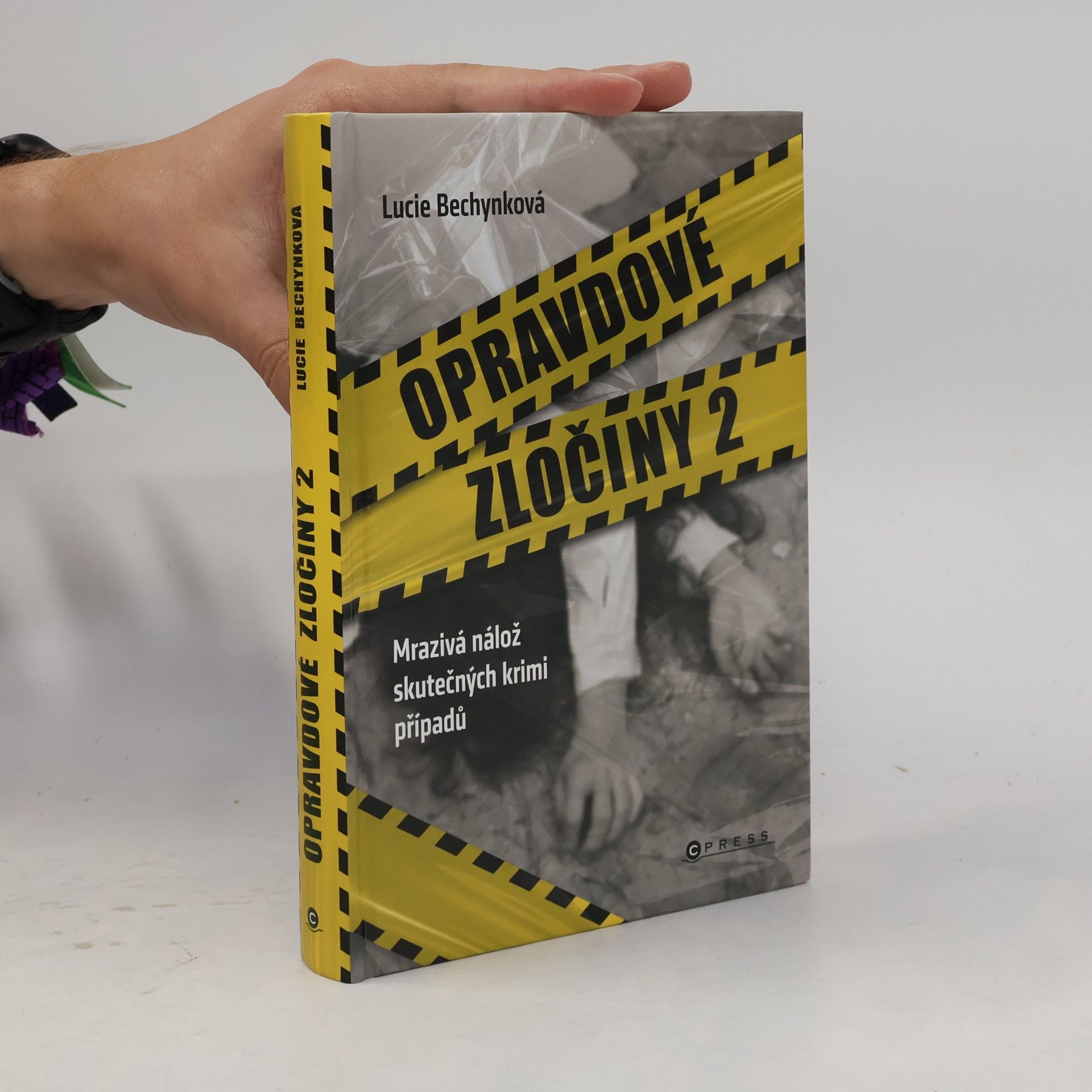 Opravdové zločiny 2
