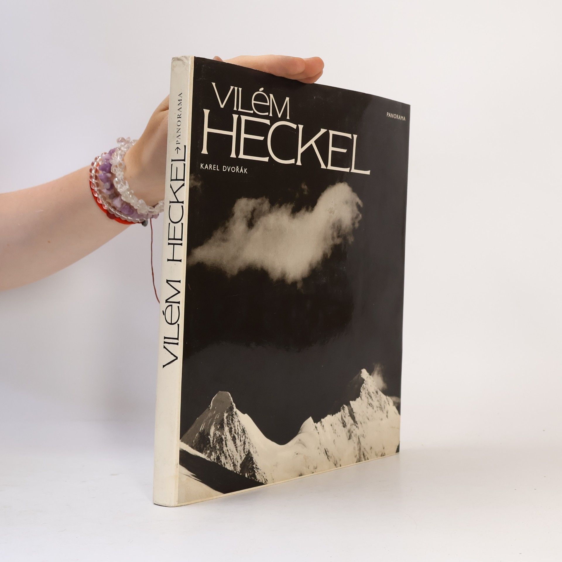 Karel Dvořák Vilém Heckel