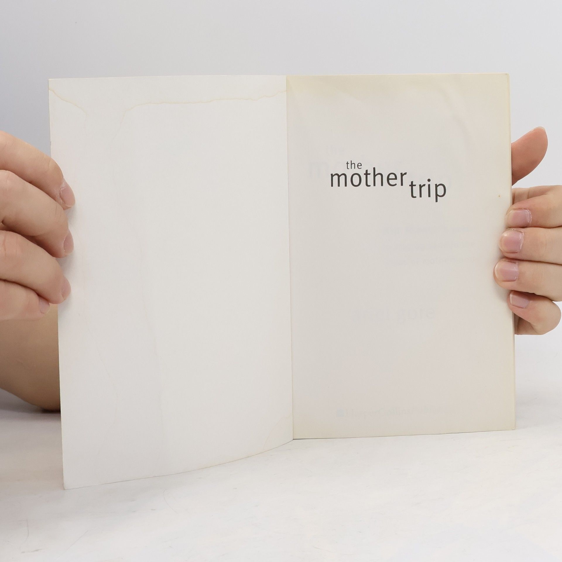 Ariel Gore The Mother Trip