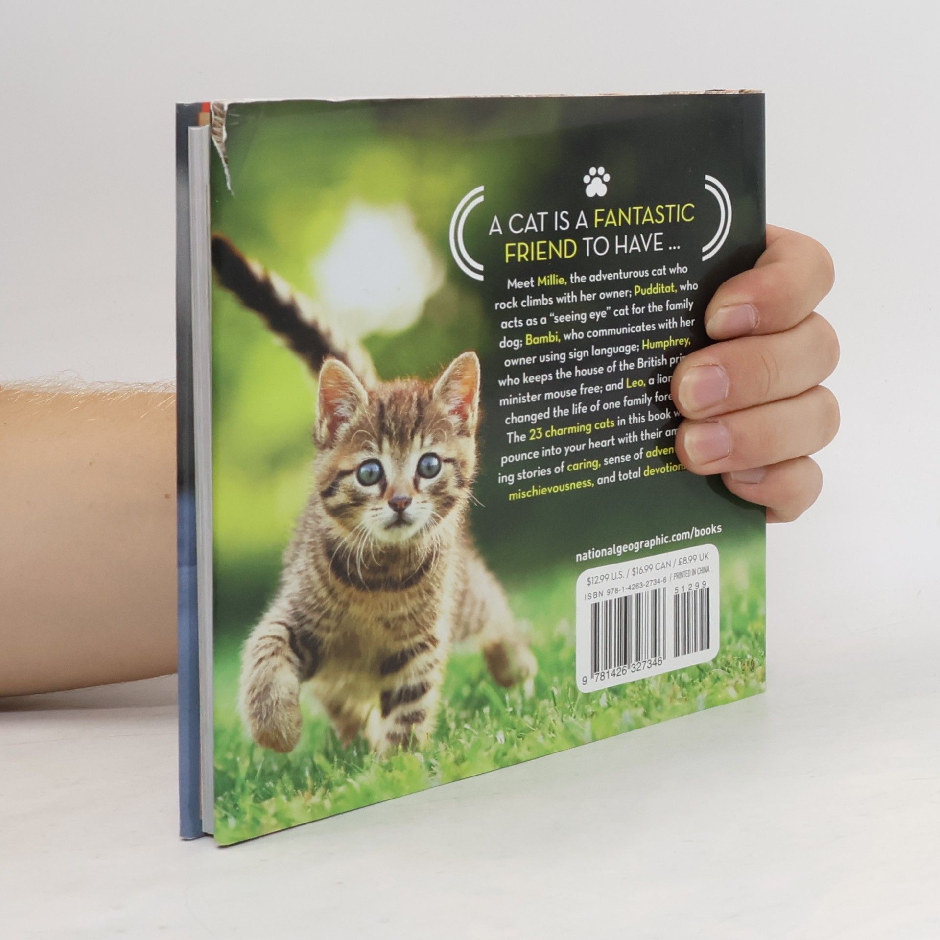 Aline Alexander Newman Cat Tales
