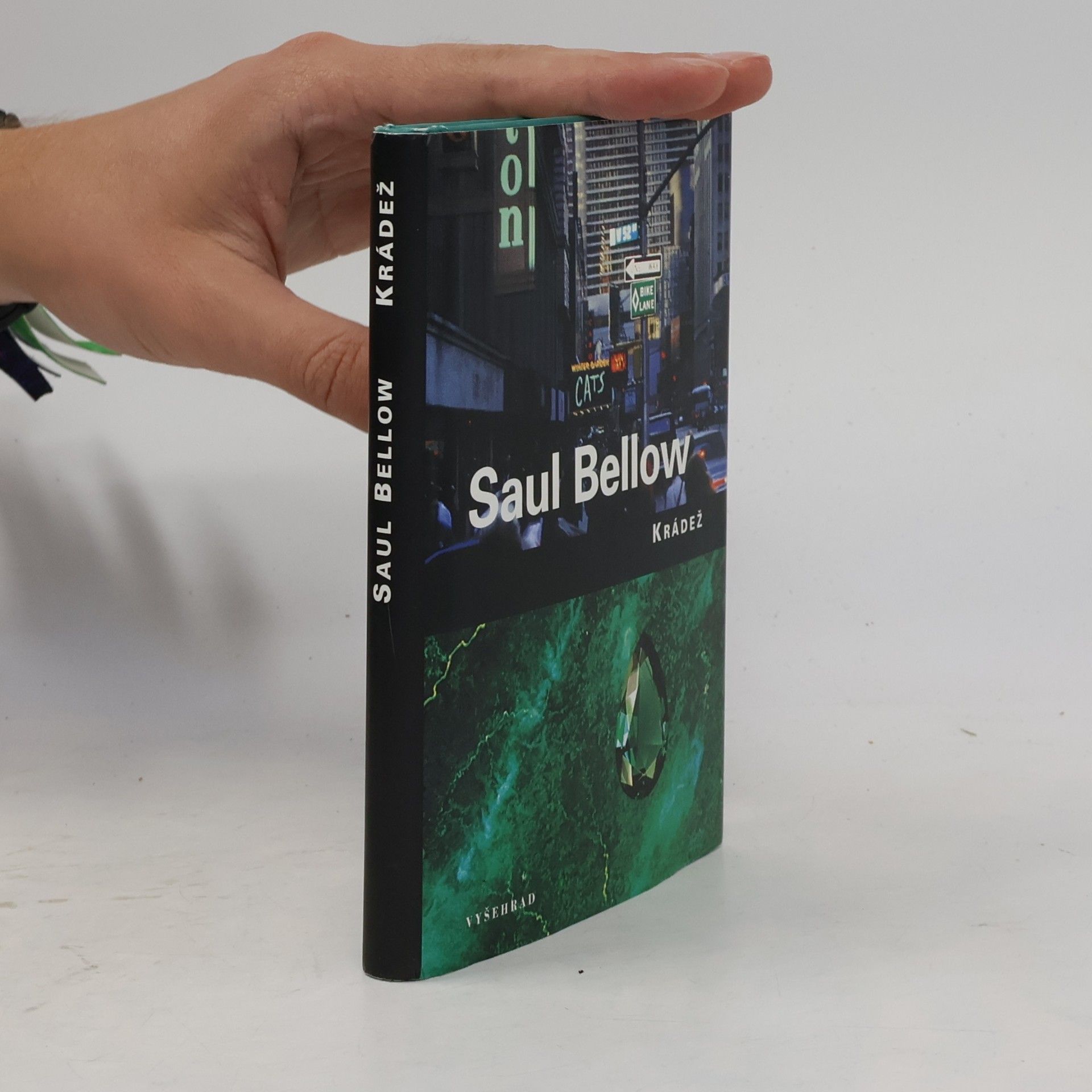 Saul Bellow Krádež