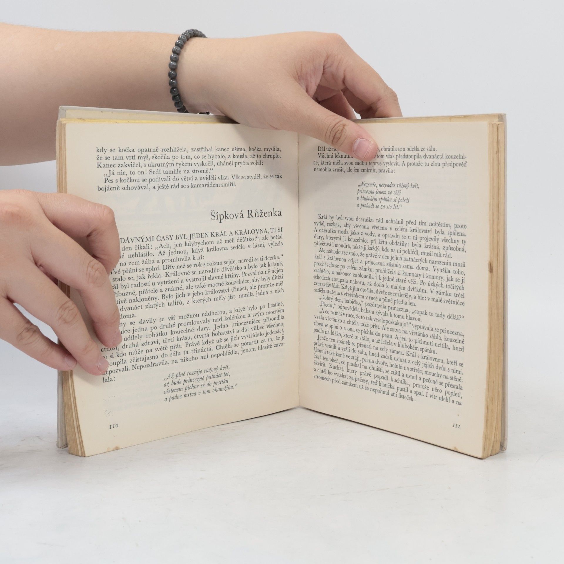 Jacob Grimm Pohádky bratří Grimmů
