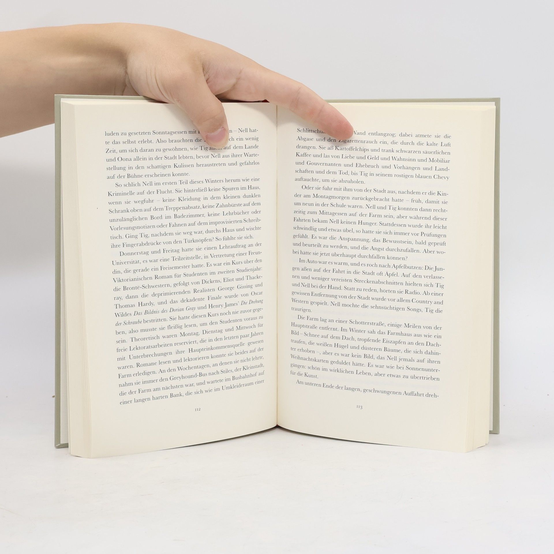Margaret Atwood Moralische Unordnung