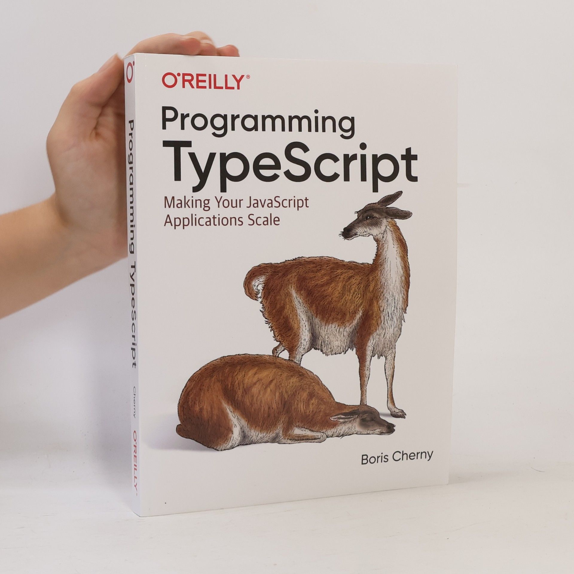 Boris Cherny Programming TypeScript