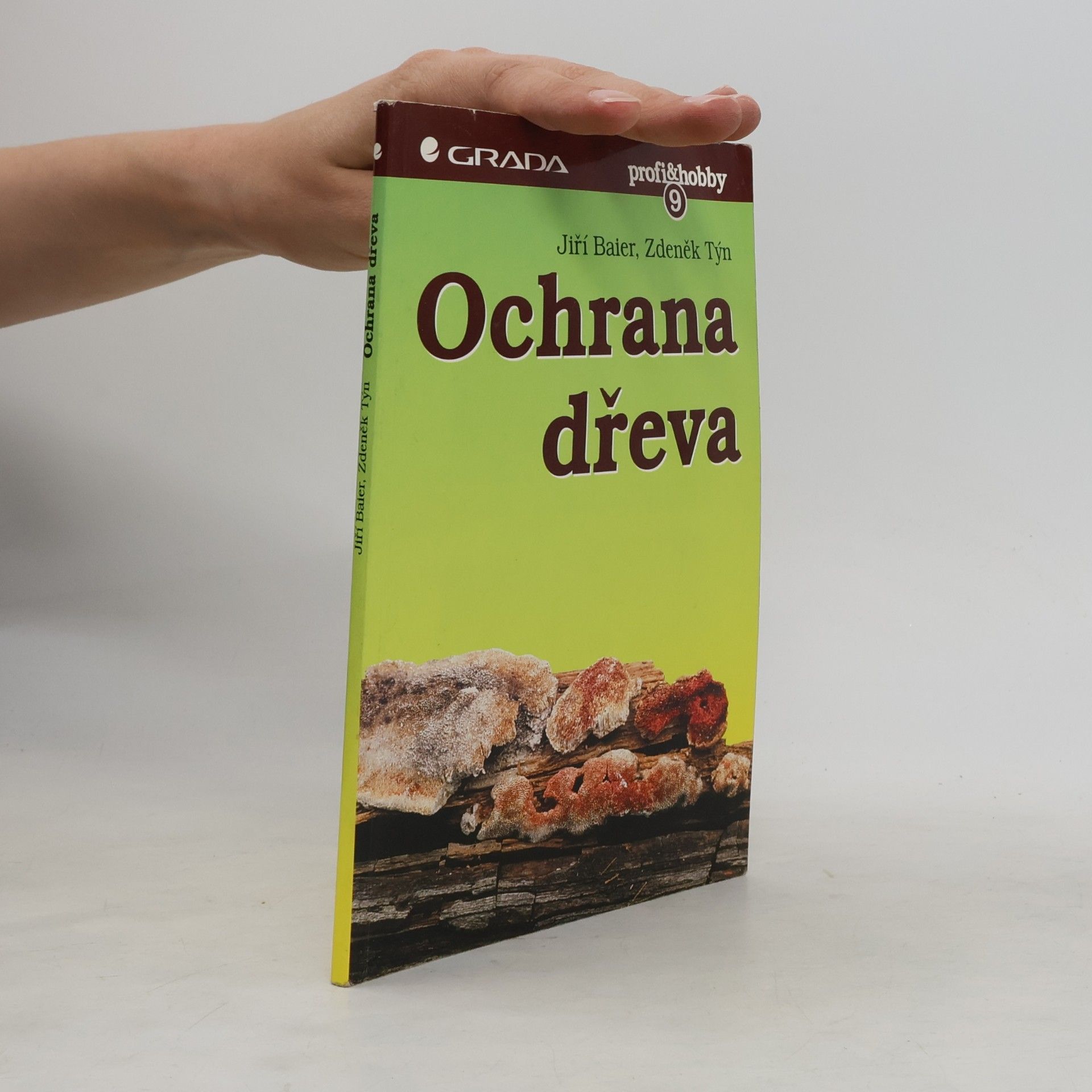 Zdeněk Týn Ochrana dřeva
