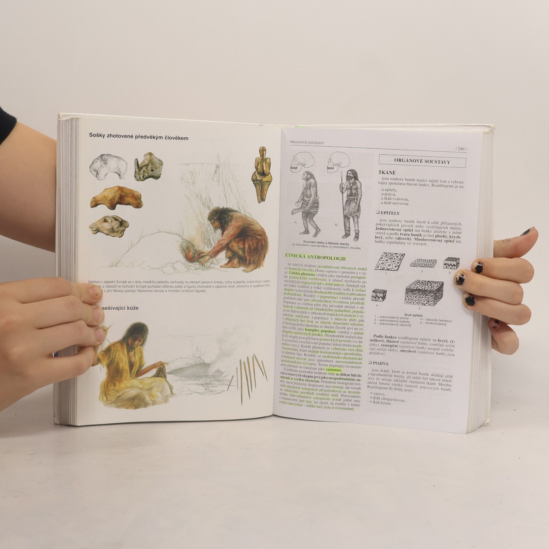 Jan Jelínek Biologie pro gymnázia