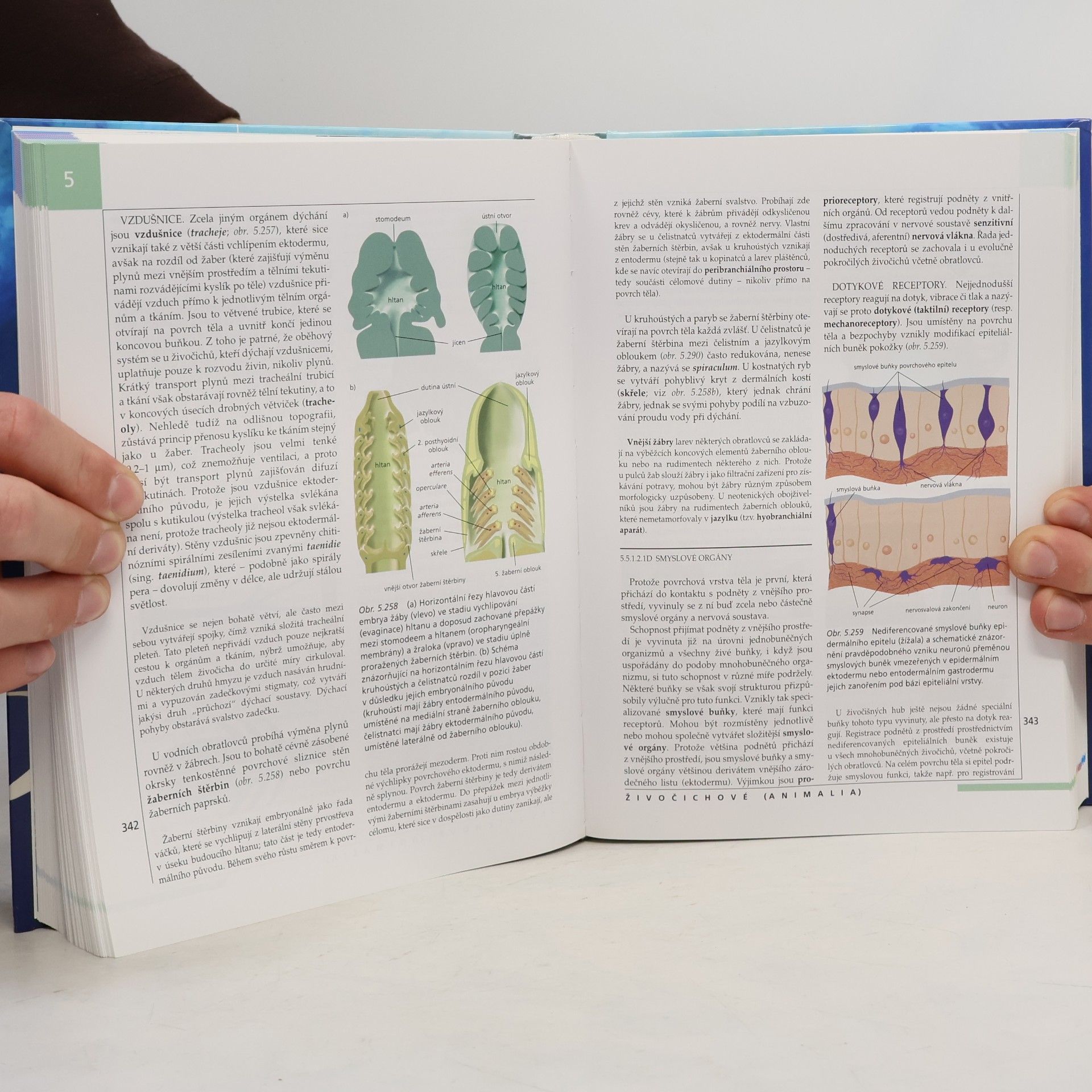 Stanislav Rosypal Nový přehled biologie