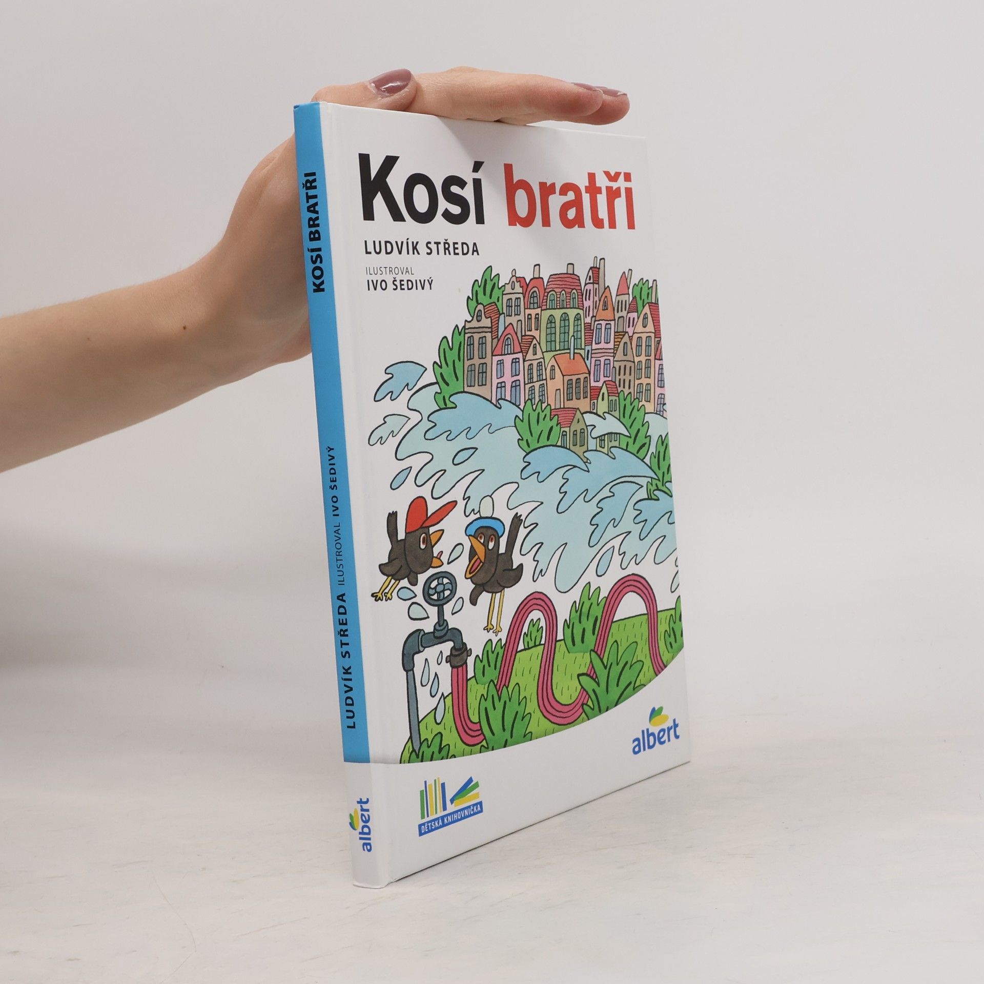 Ludvík Středa Kosí bratři