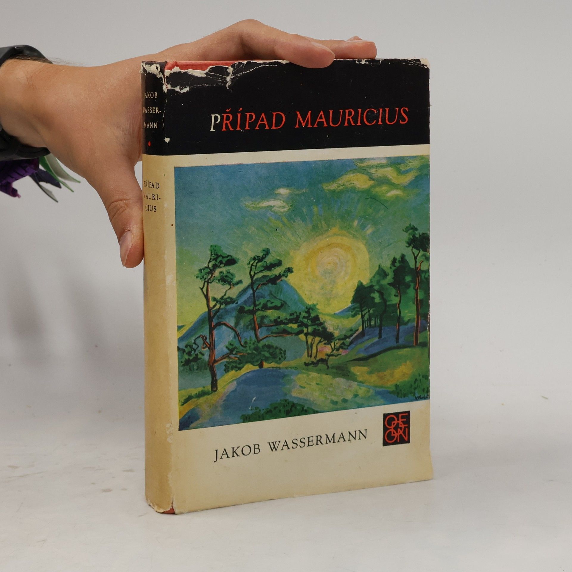 Jakob Wassermann Případ Mauricius