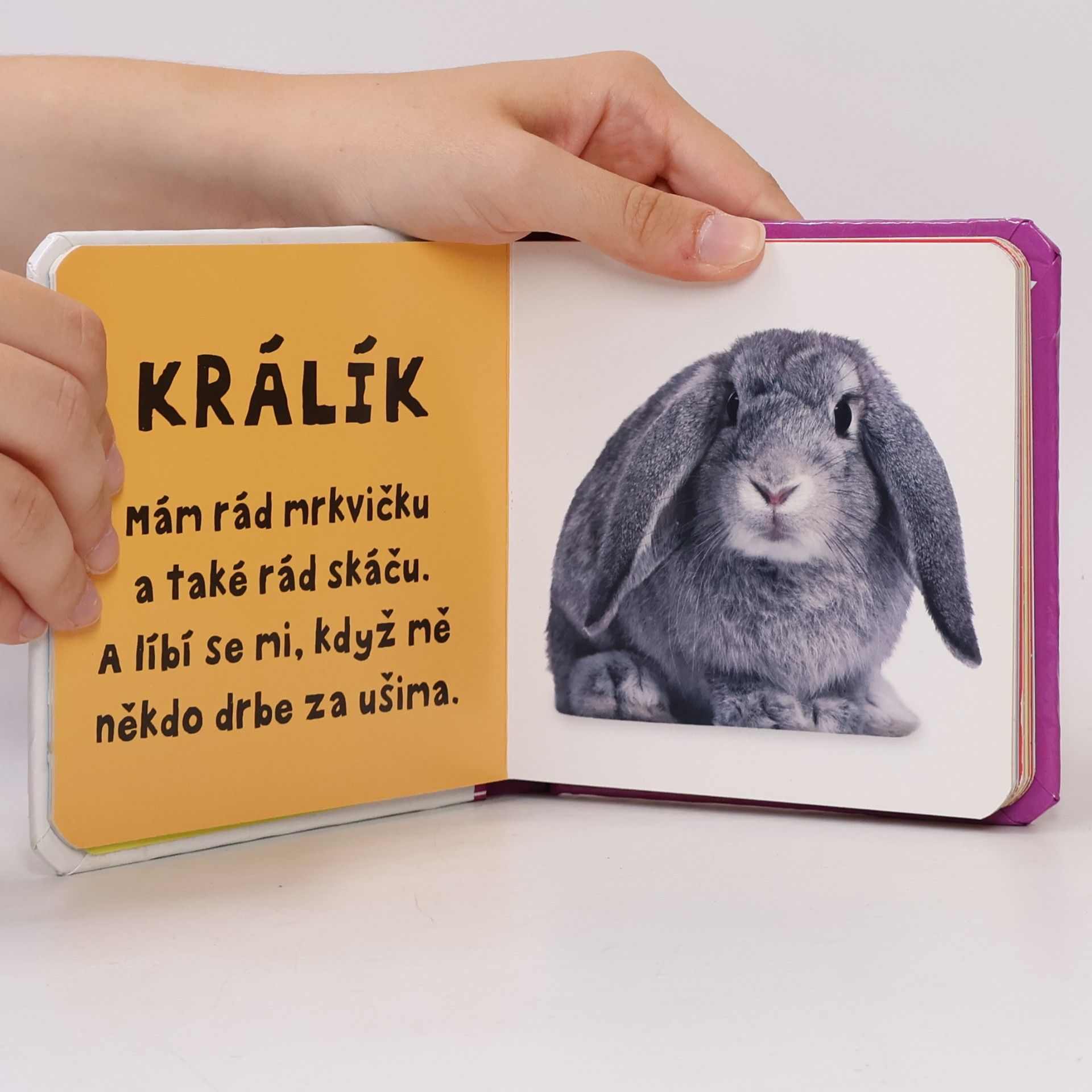 Kolektiv autorů Zvířátka : moje první slůvka