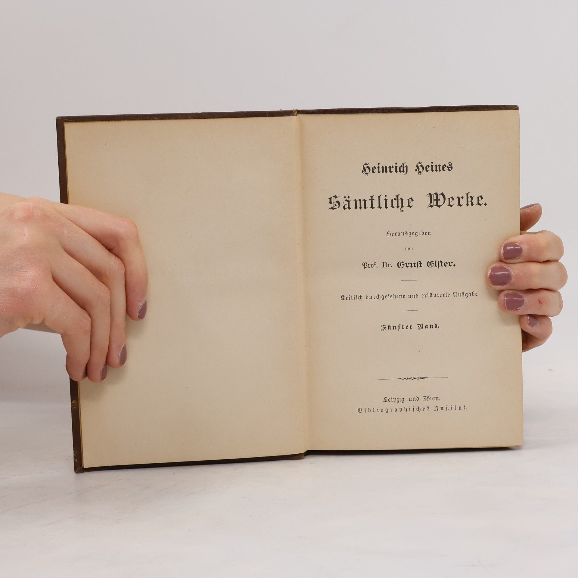 Ernst Elster Heinrich Heines Sämtliche Werke 5