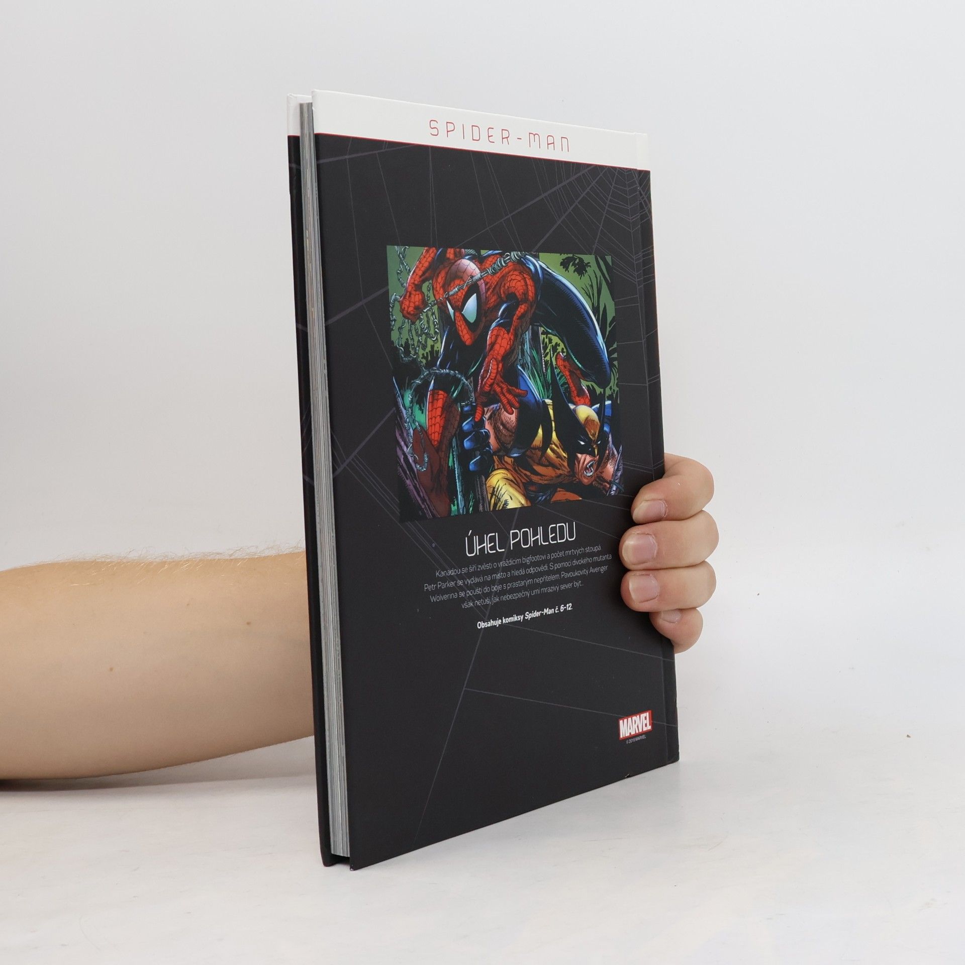 Todd McFarlane Spider-Man 1. Úhel pohledu
