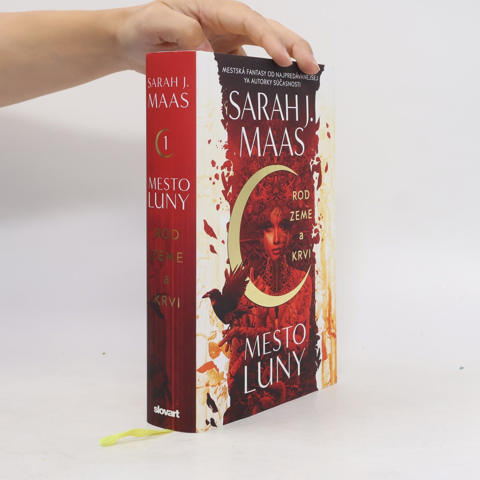 Sarah J. Maas Rod zeme a krvi