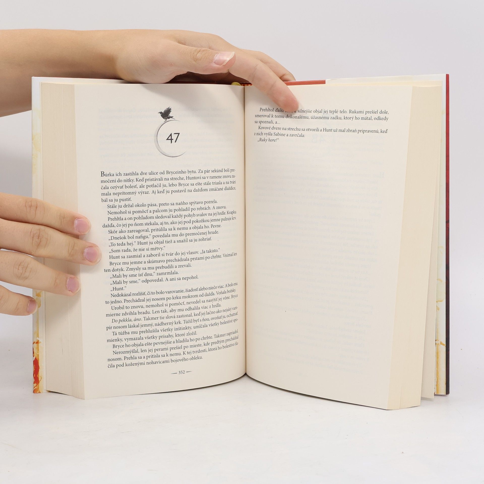 Sarah J. Maas Rod zeme a krvi