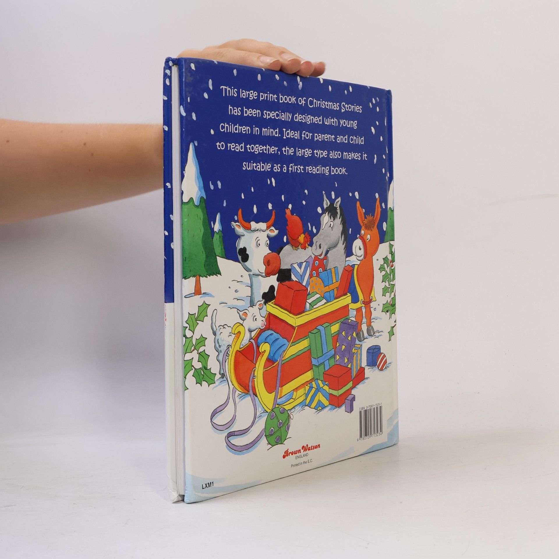 Collectif d'auteurs Christmas Stories