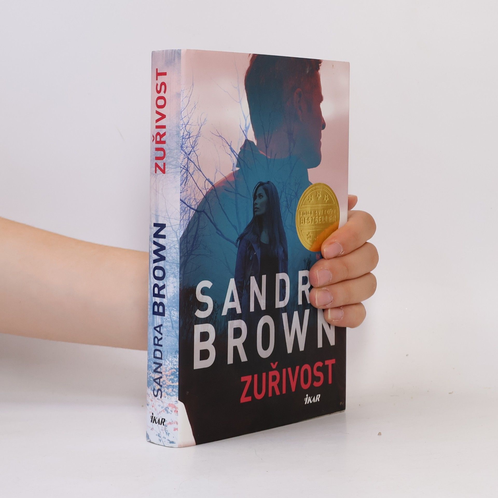 Sandra Brown Zuřivost