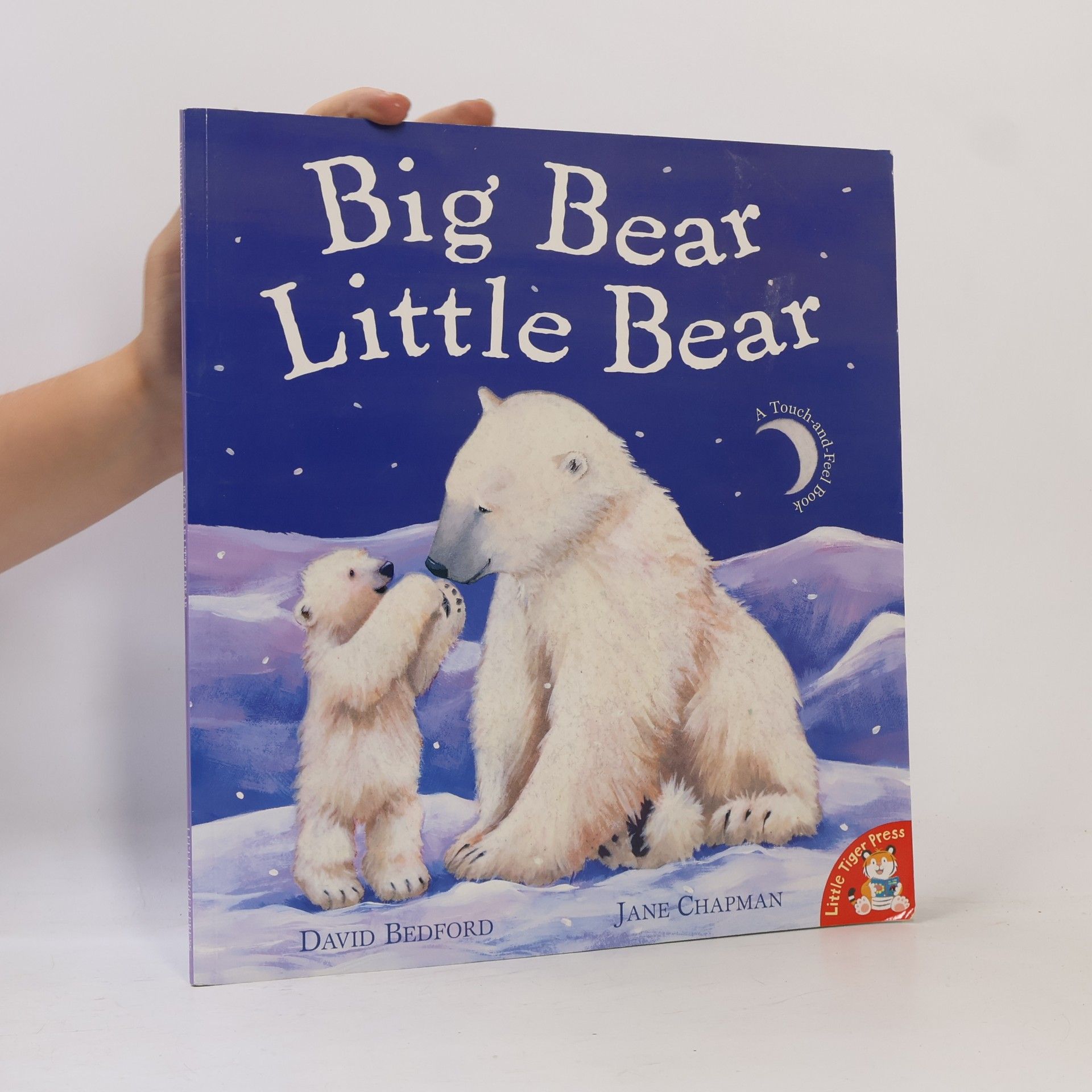 David Bedford Big Bear Little Bear