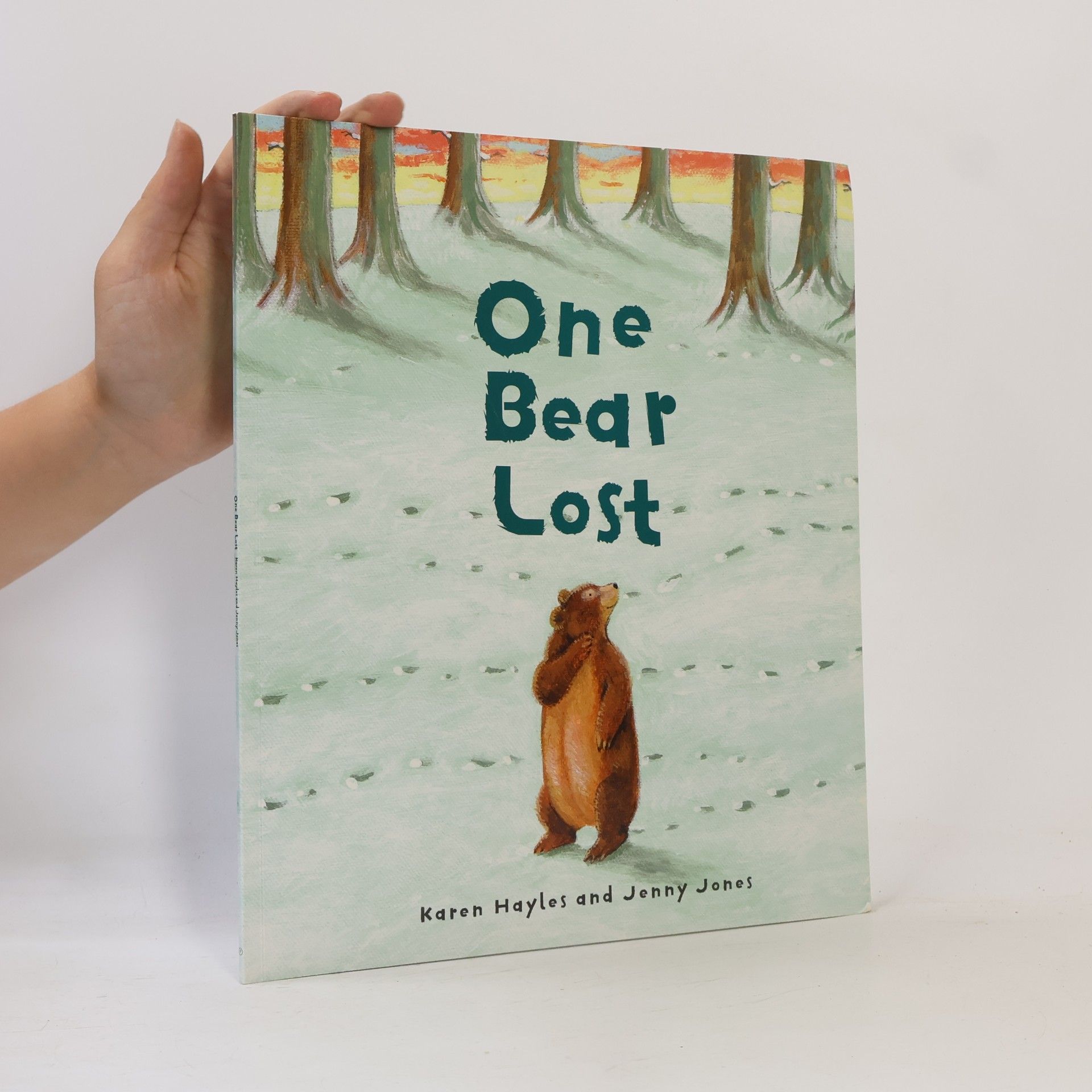 Jenny Jones One Bear Lost