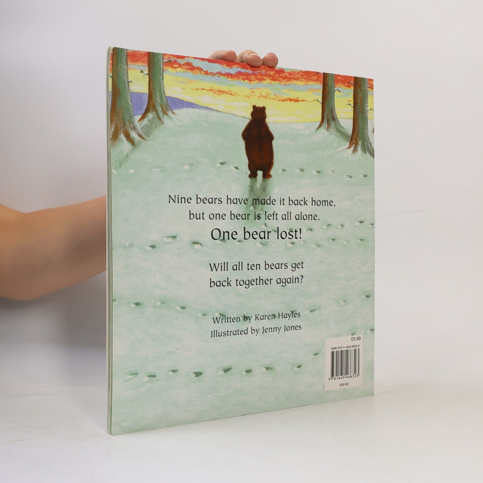 Karen Hayles One Bear Lost