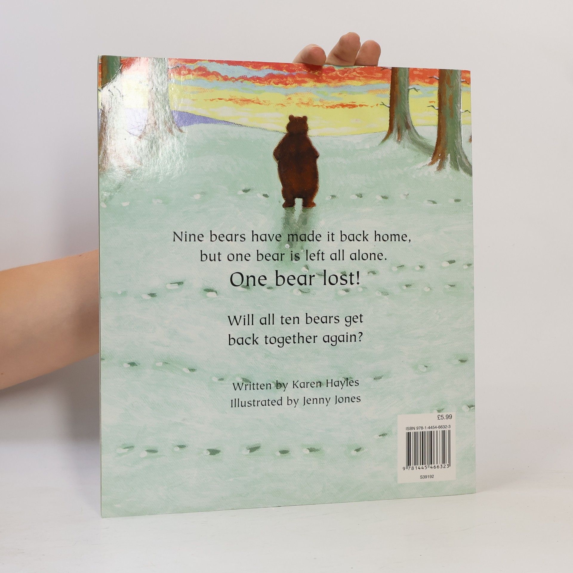 Karen Hayles One Bear Lost