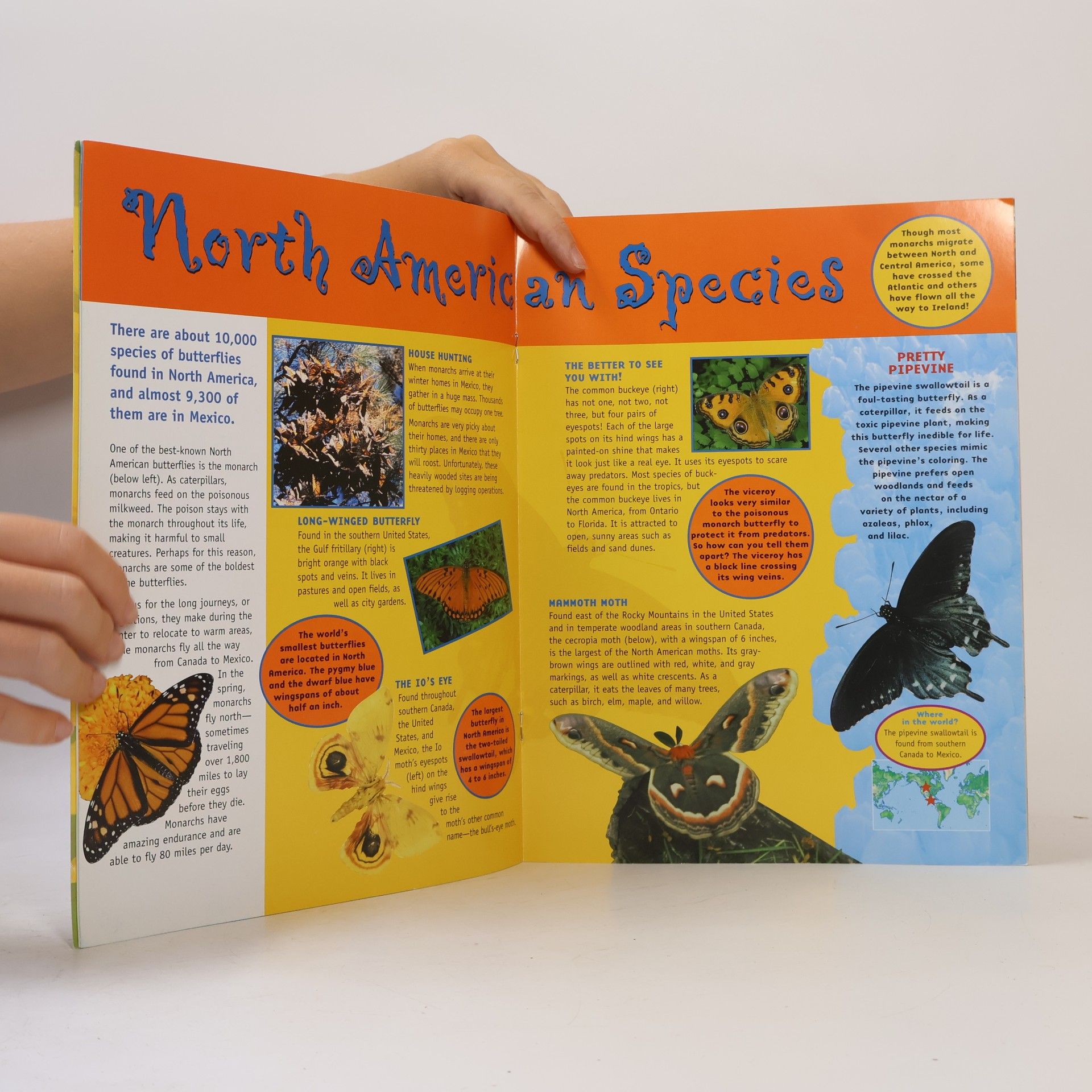 Chris Madsen Glow in the Dark Sticker Files: Butterflies and Moths