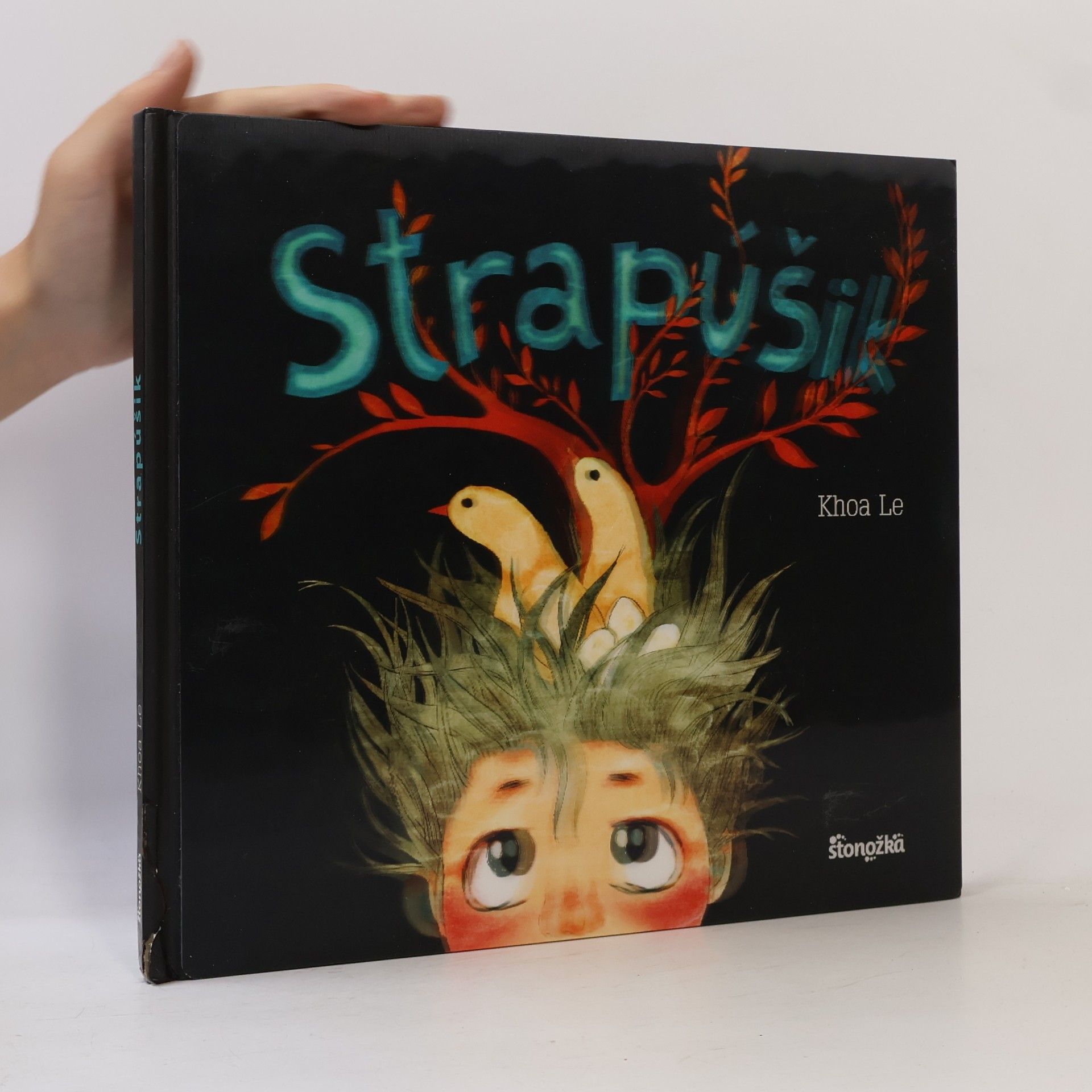 Khoa Le Strapúšik