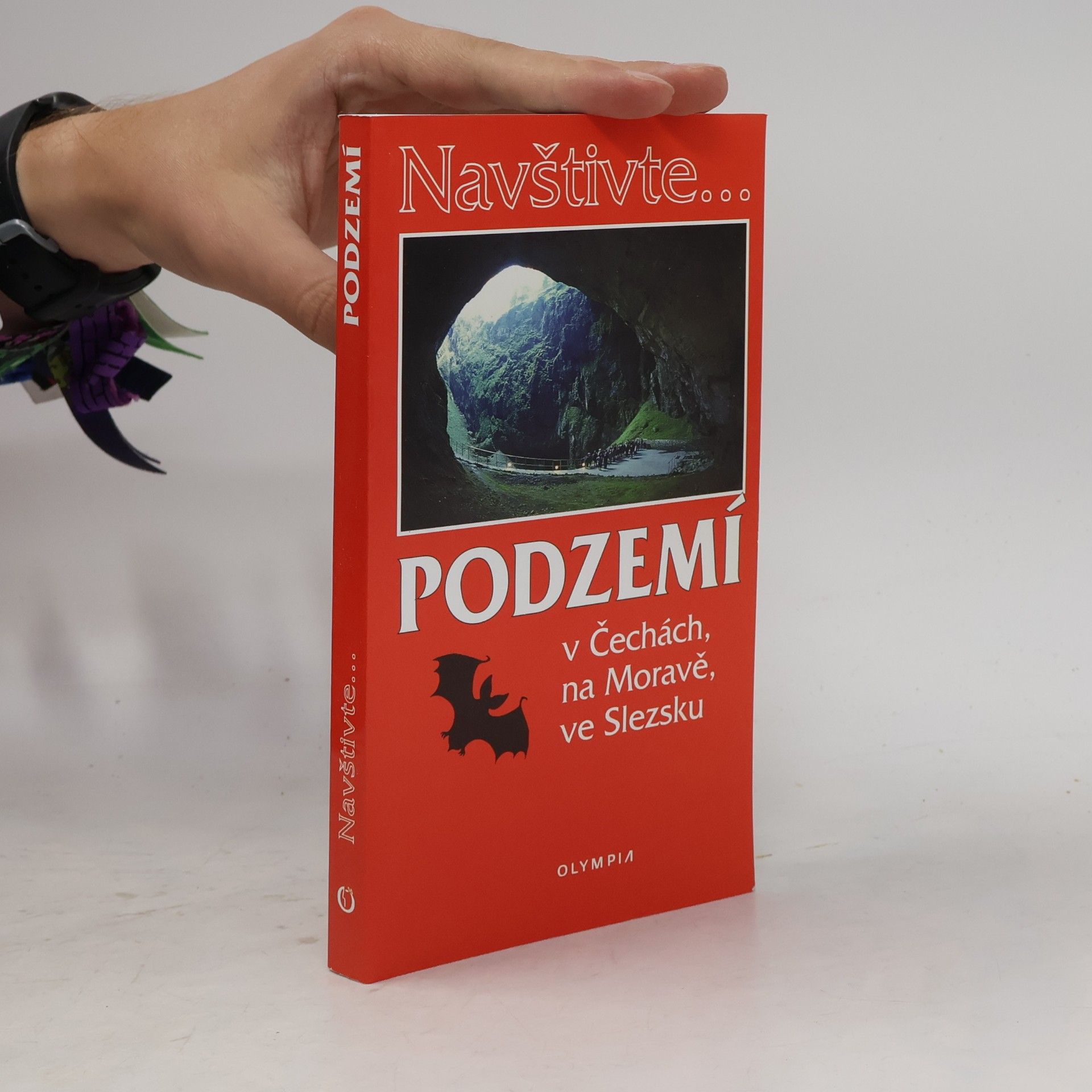 Jaroslav Hromas Podzemí v Čechách, na Moravě, ve Slezsku