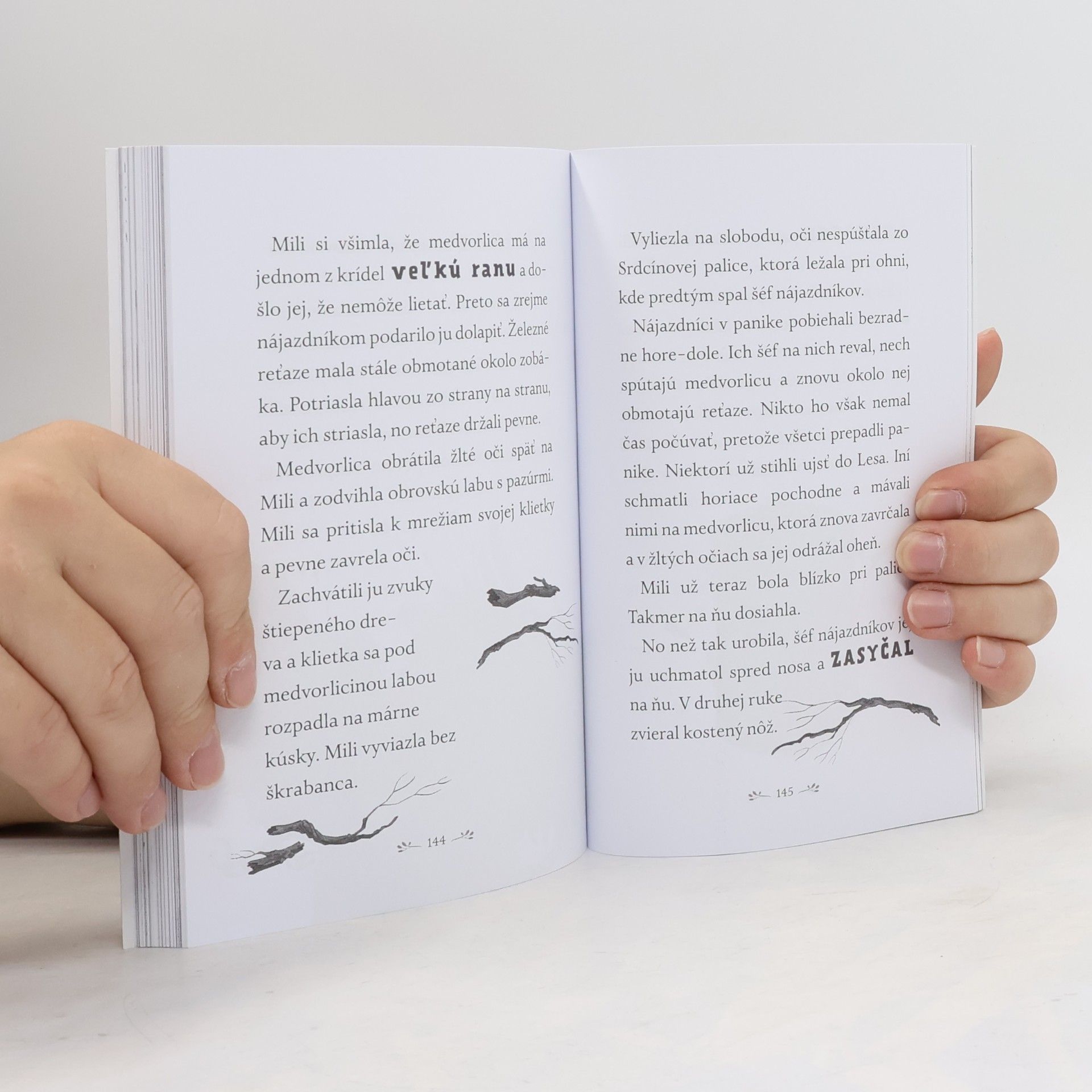 Lili Wilkinson Statočná labka: A Srdcín z Alúrie