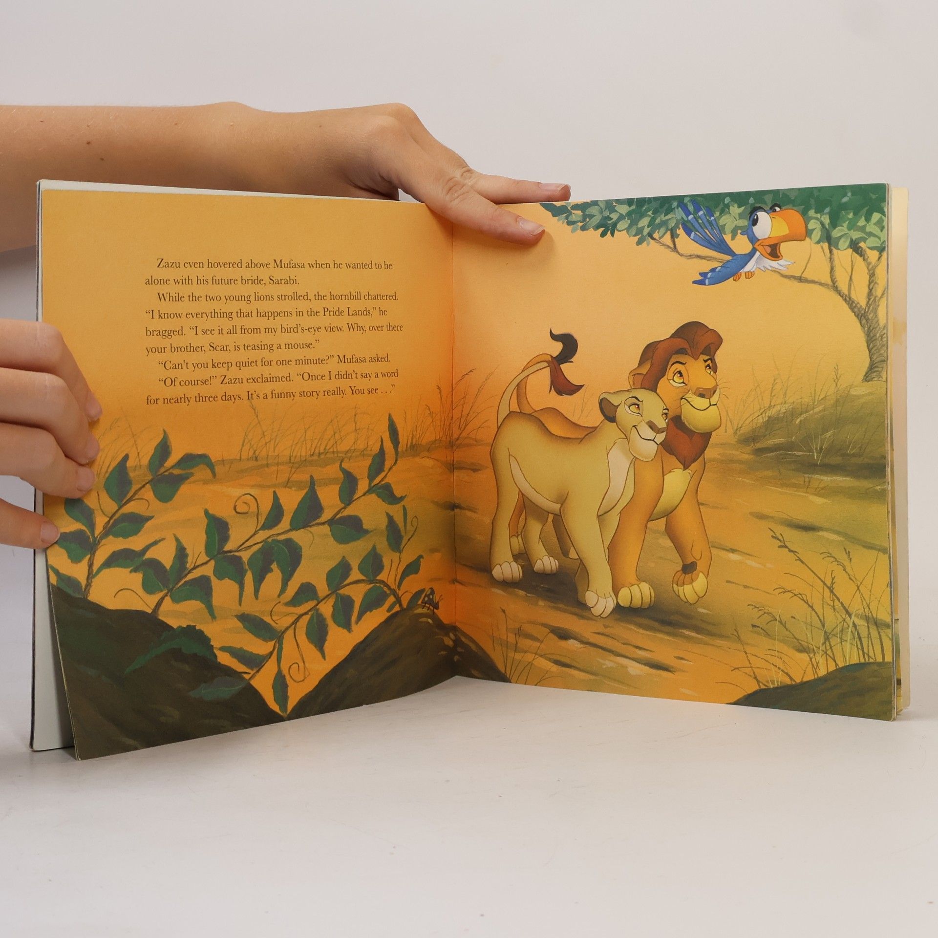 Justine Korman Fontes Disney's The Lion King: Friends in Need