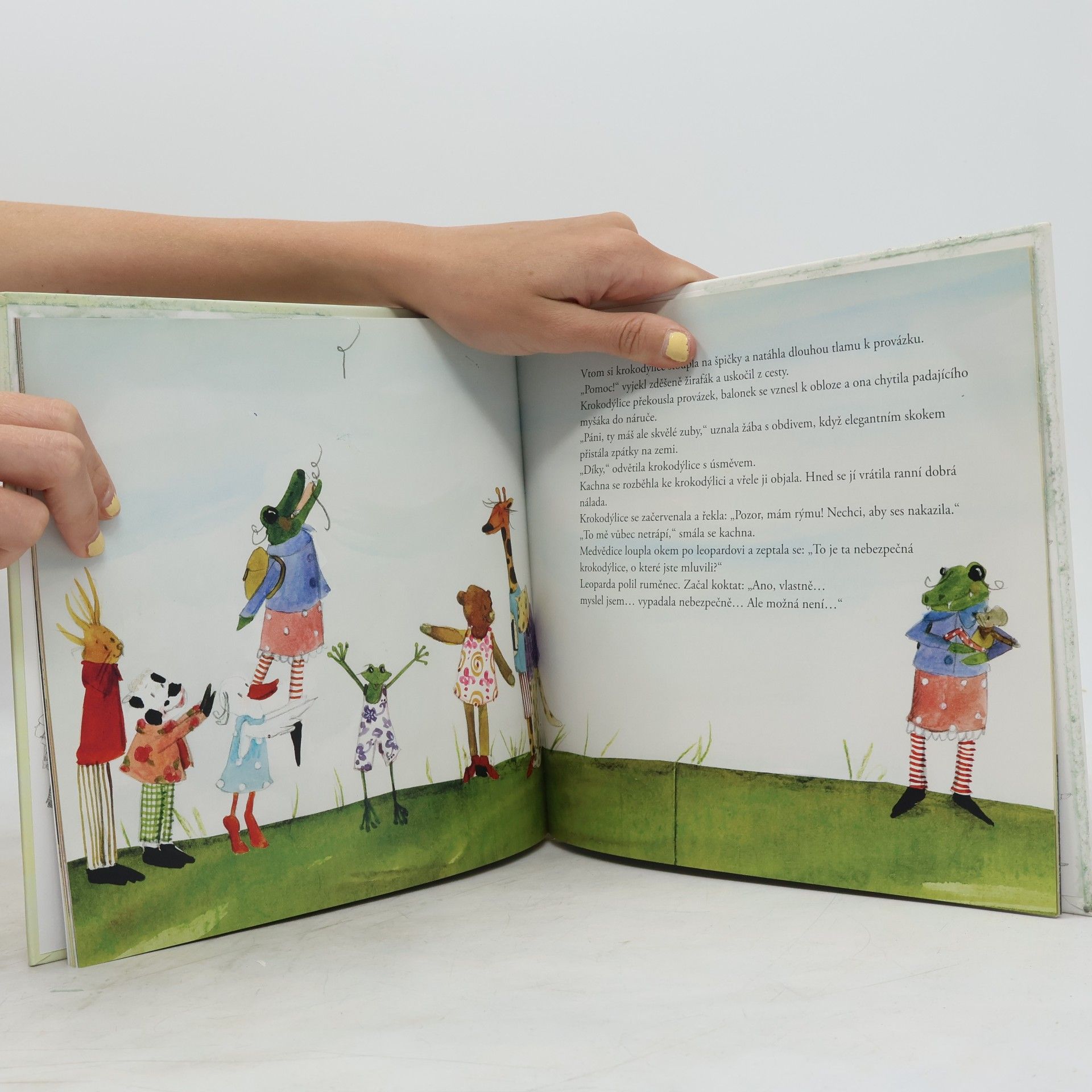 Karin Salmson Jak krokodýlice hledala domov