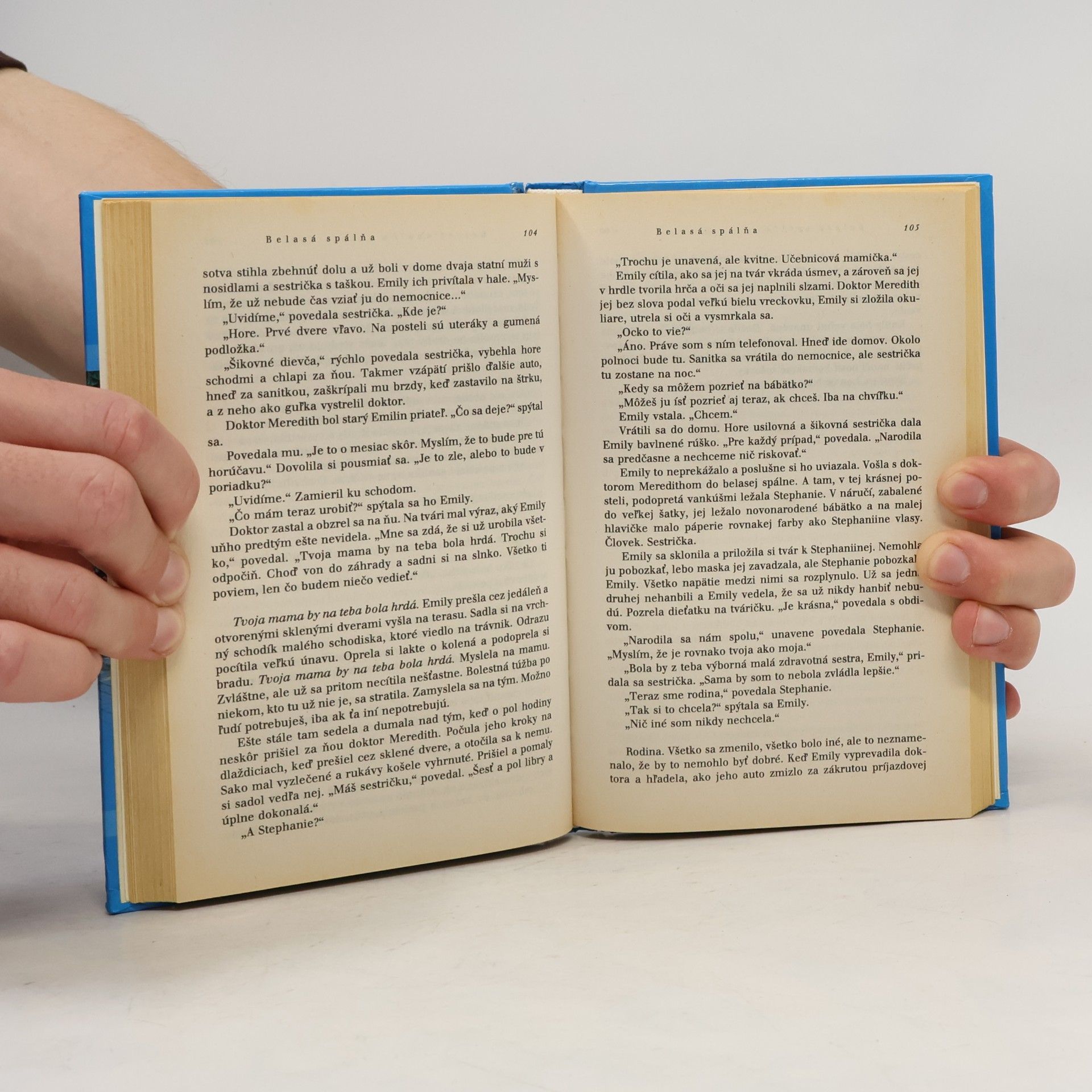 Rosamunde Pilcher Belasá spálňa