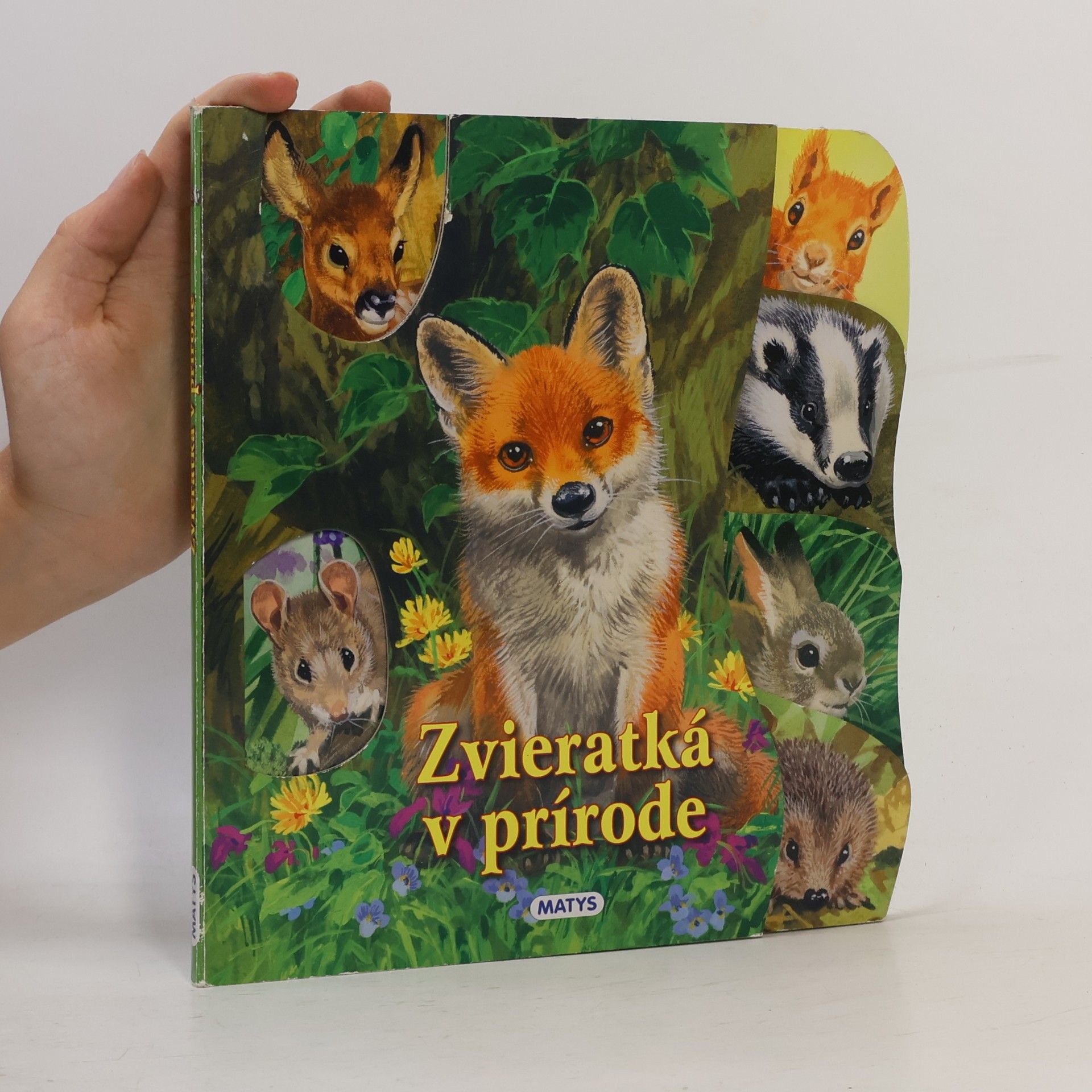 Autorenkollektiv Zvieratká v prírodě