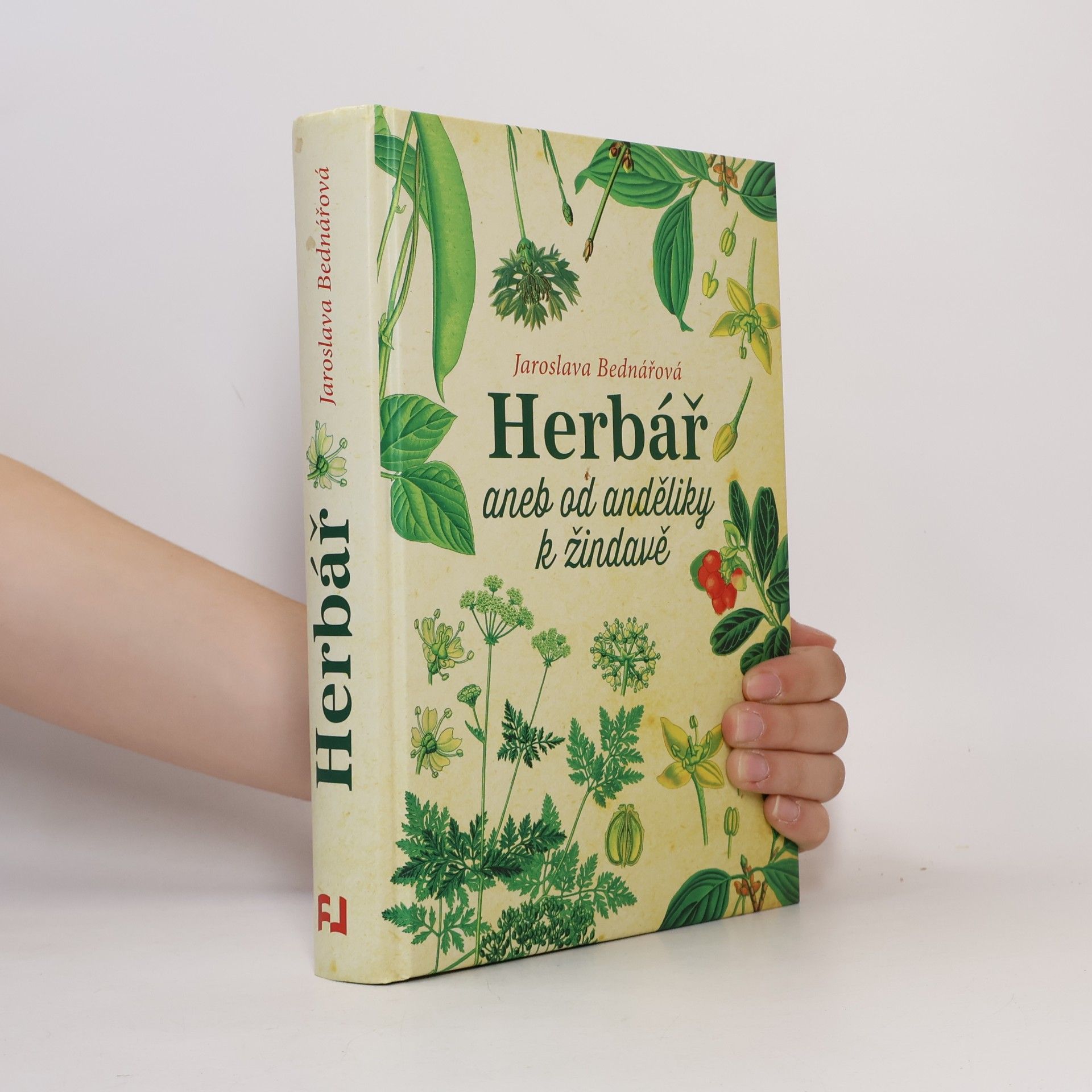 Jaroslava Bednářová Herbář, aneb, Od anděliky k žindavě