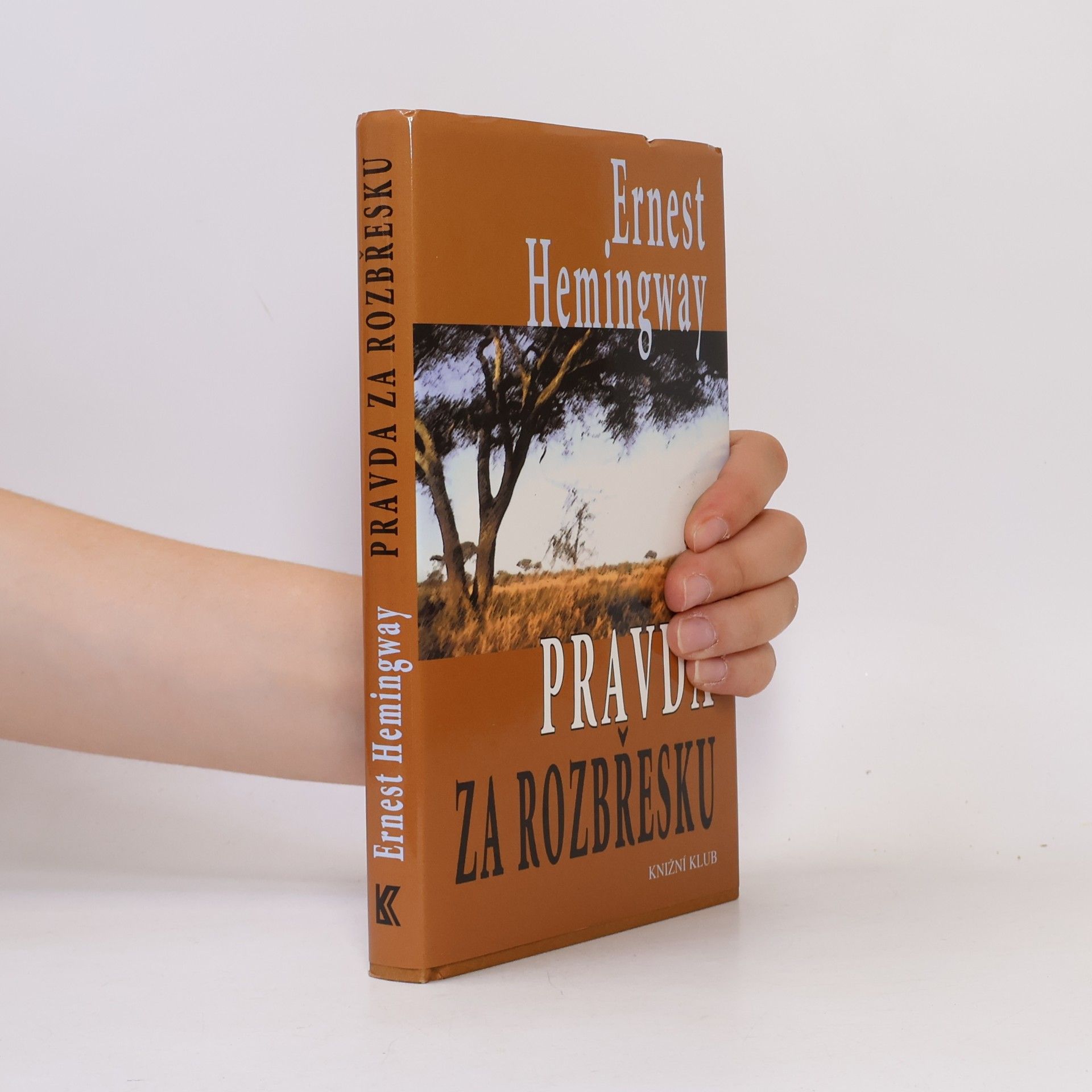 Ernest Hemingway Pravda za rozbřesku