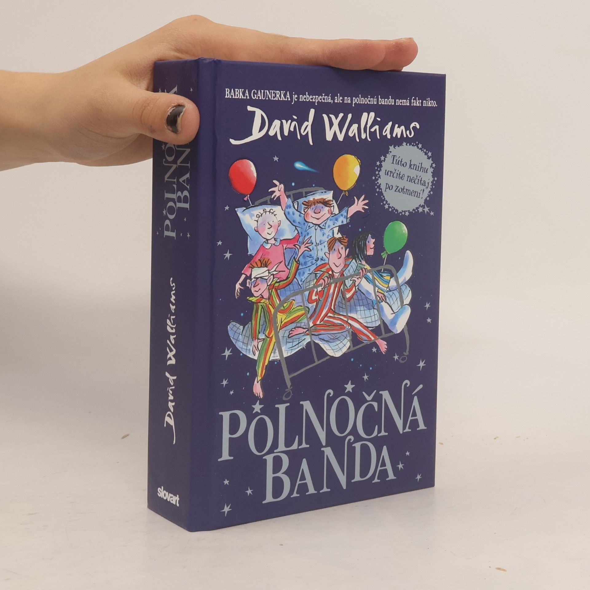 David Walliams Polnočná banda