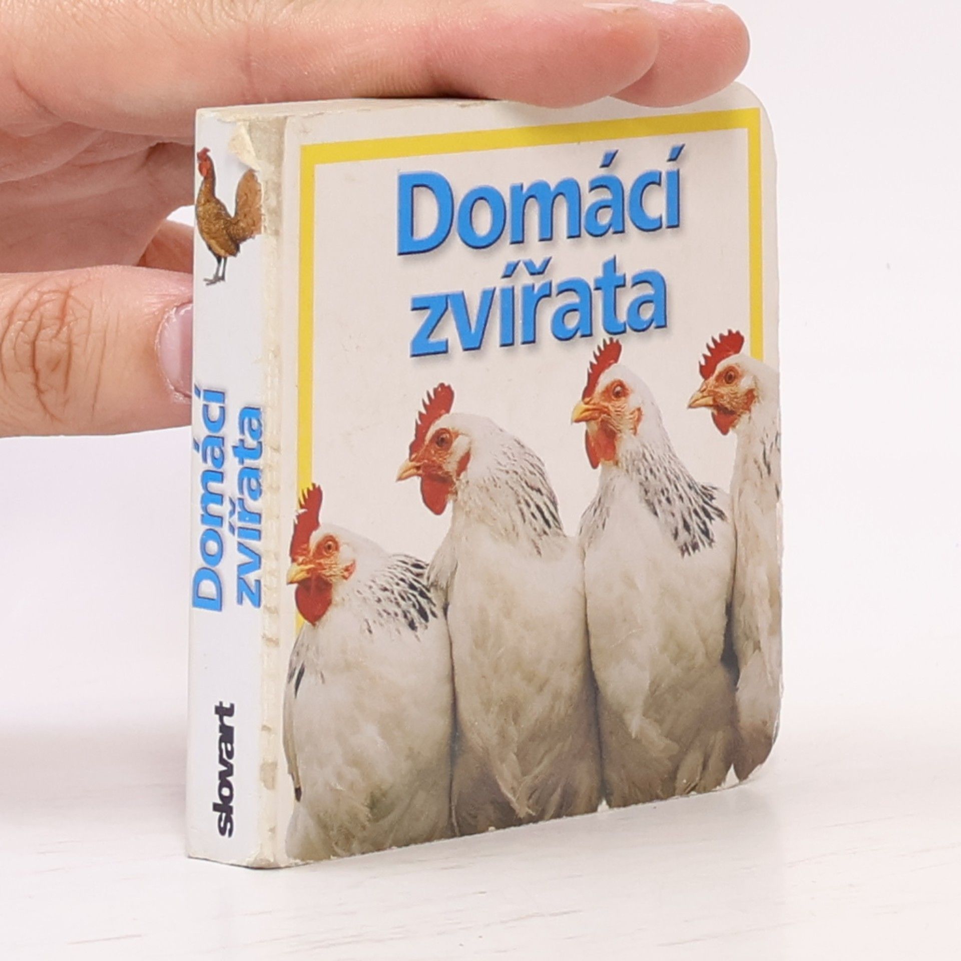 Kolektív autorov Domácí zvířata