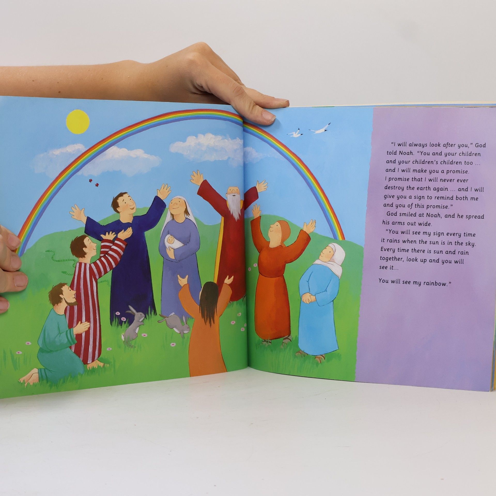 Vivian French Noah's Ark & Others