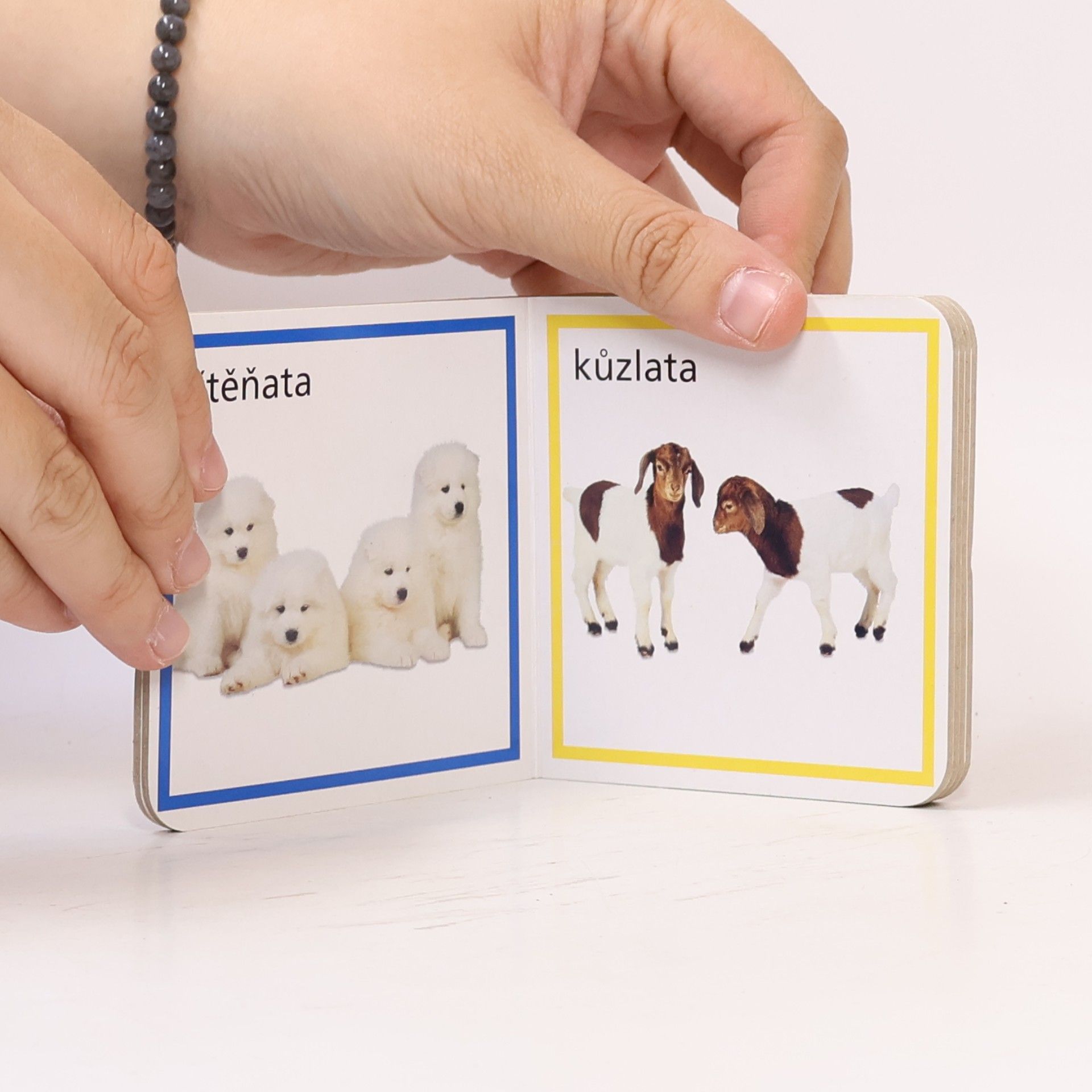 Kateřina Hladká Mláďata