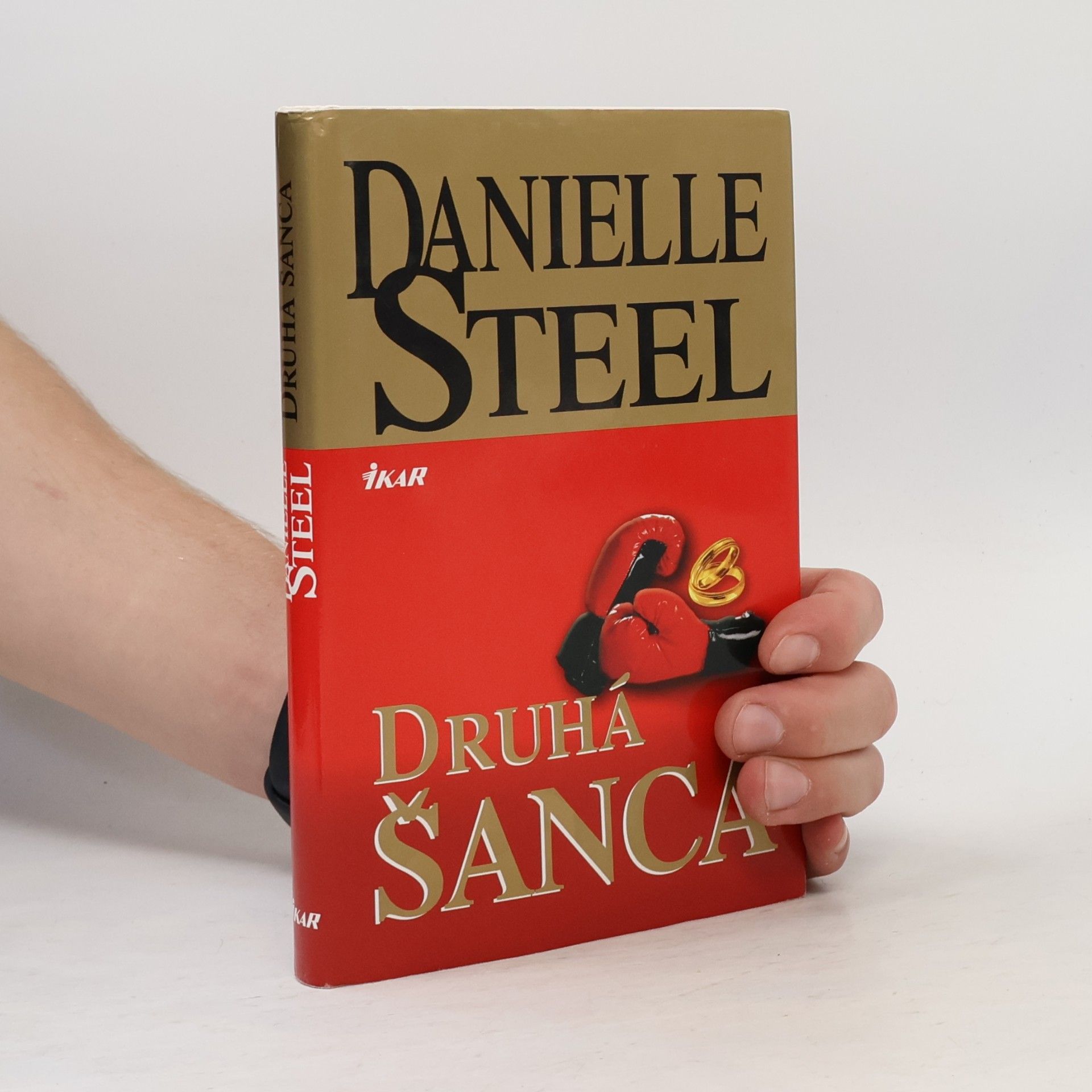 Danielle Steel Druhá šanca