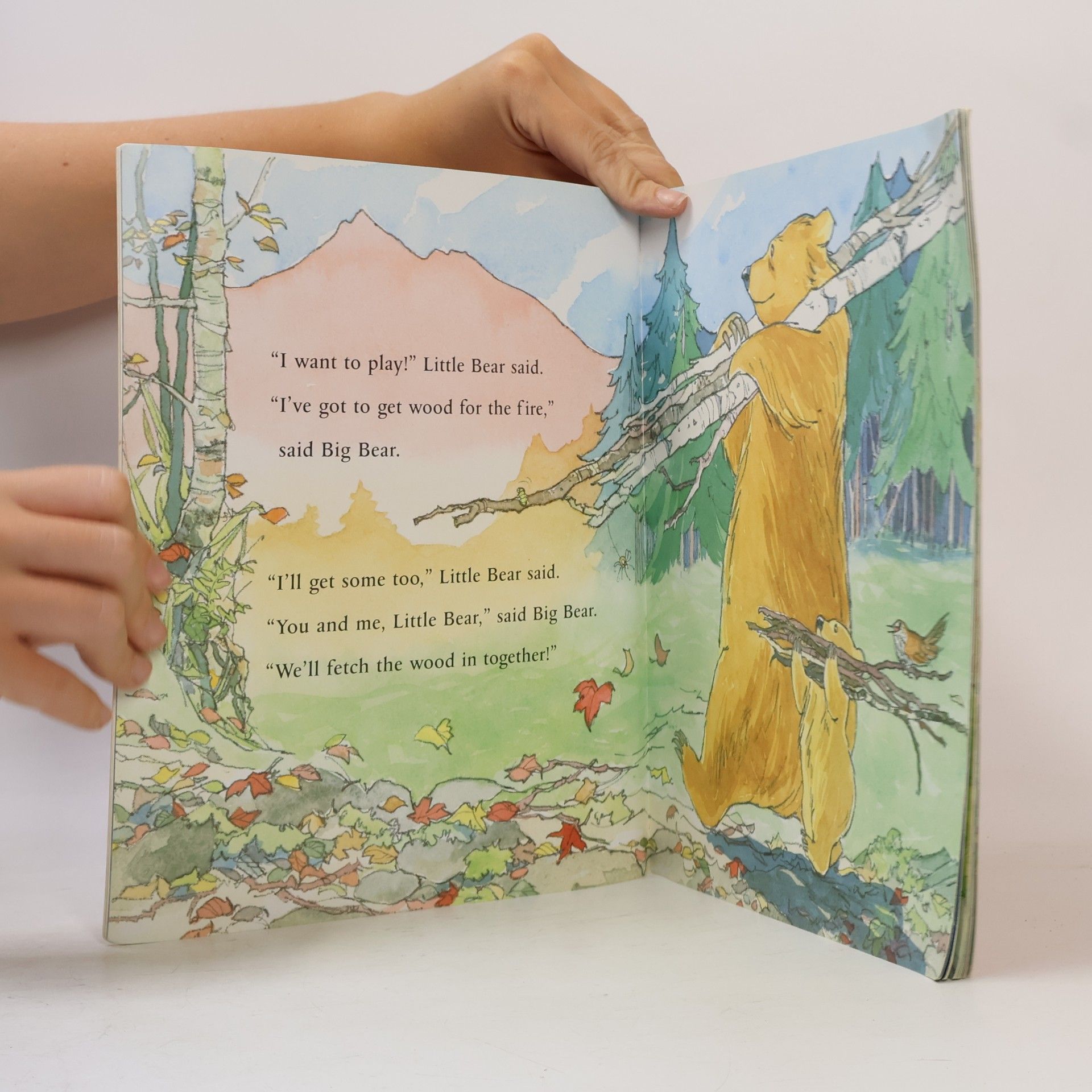 Martin Waddell You and Me, Little Bear