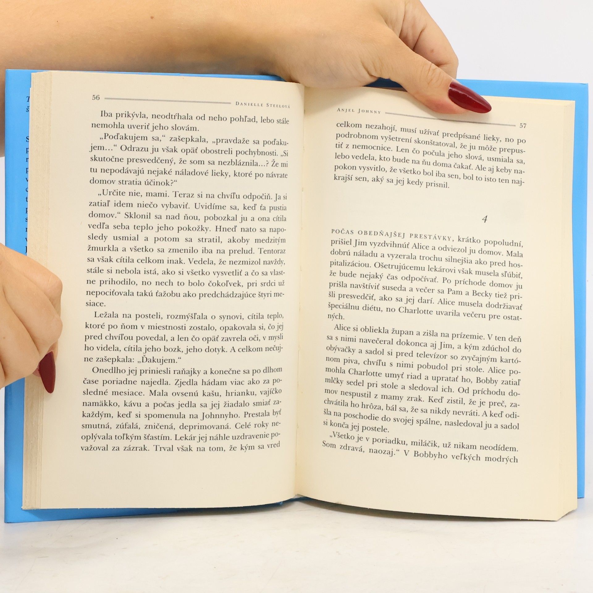 Danielle Steel Anjel Johnny