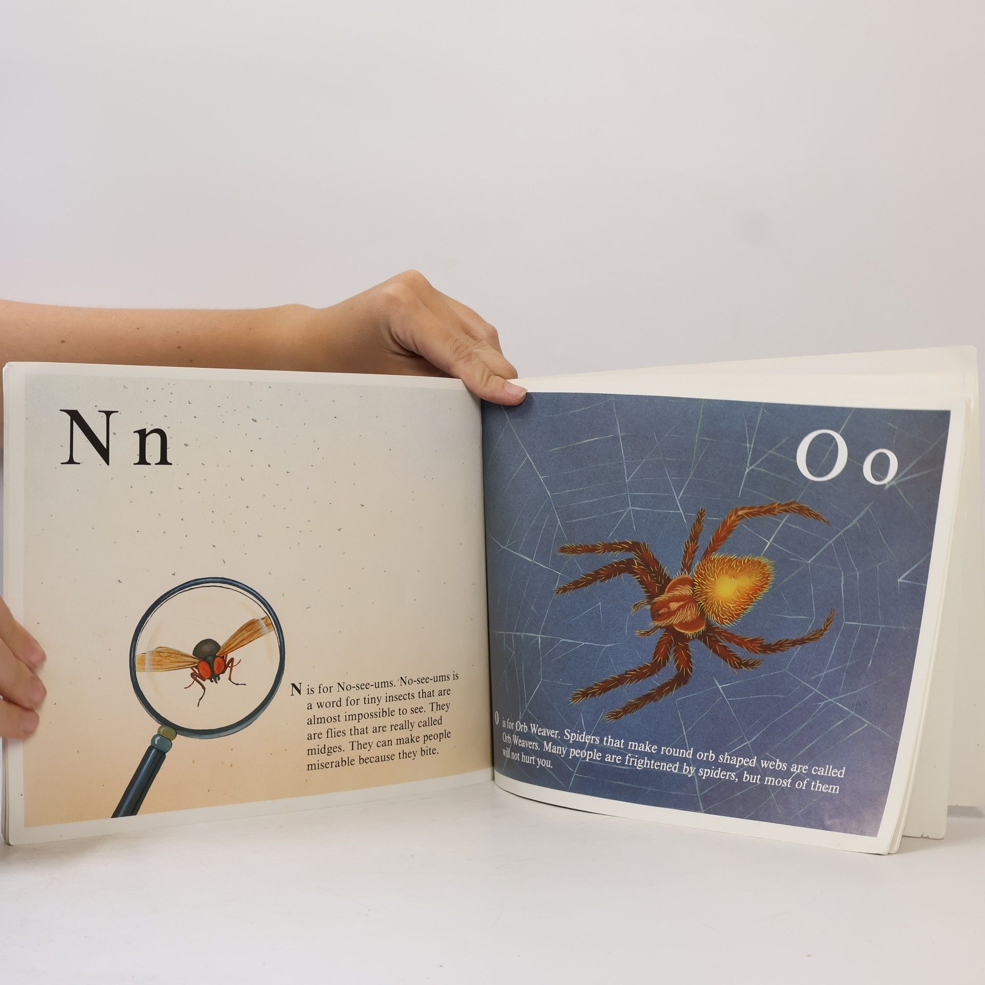 Jerry Pallotta Jerry Pallotta's Alphabet Books: The Icky Bug Alphabet Book