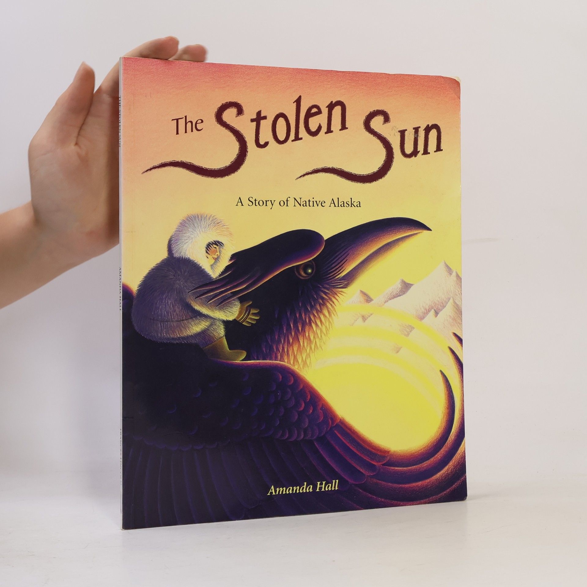 Amanda Hall The Stolen Sun