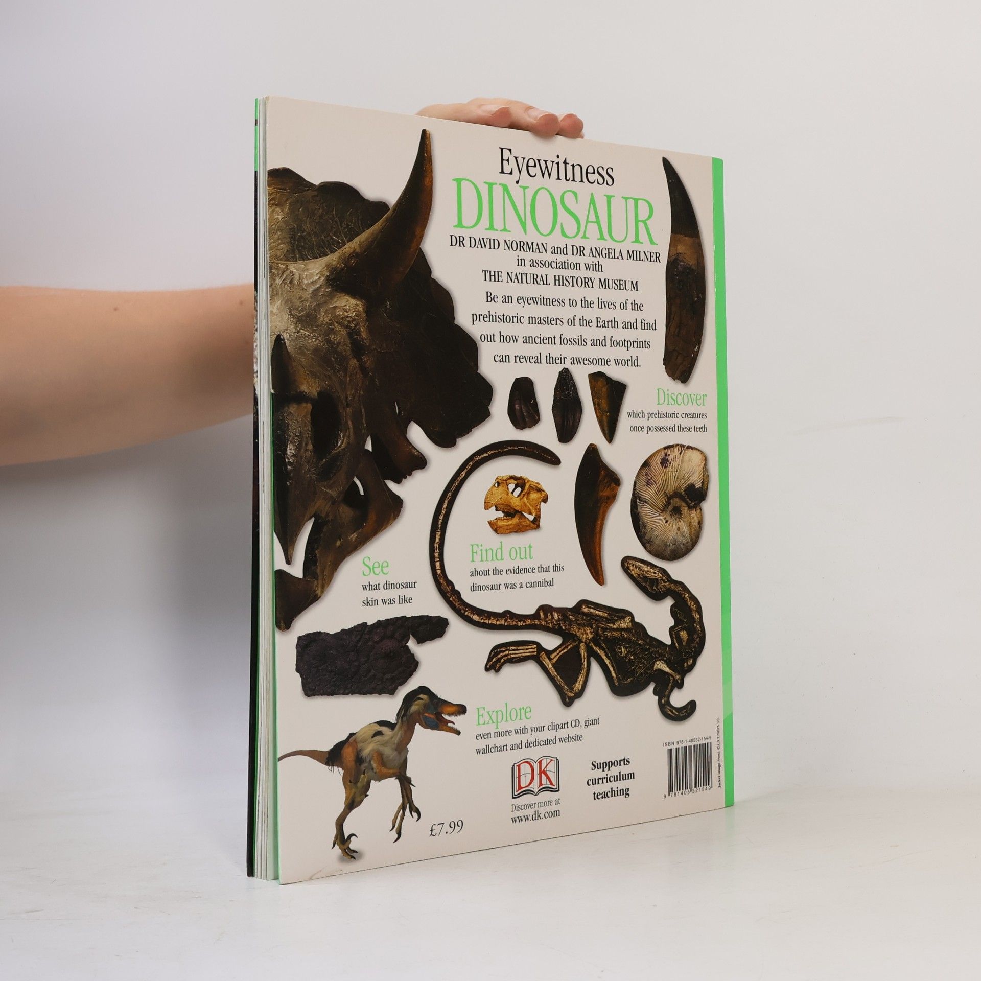 Autores varios Dinosaur