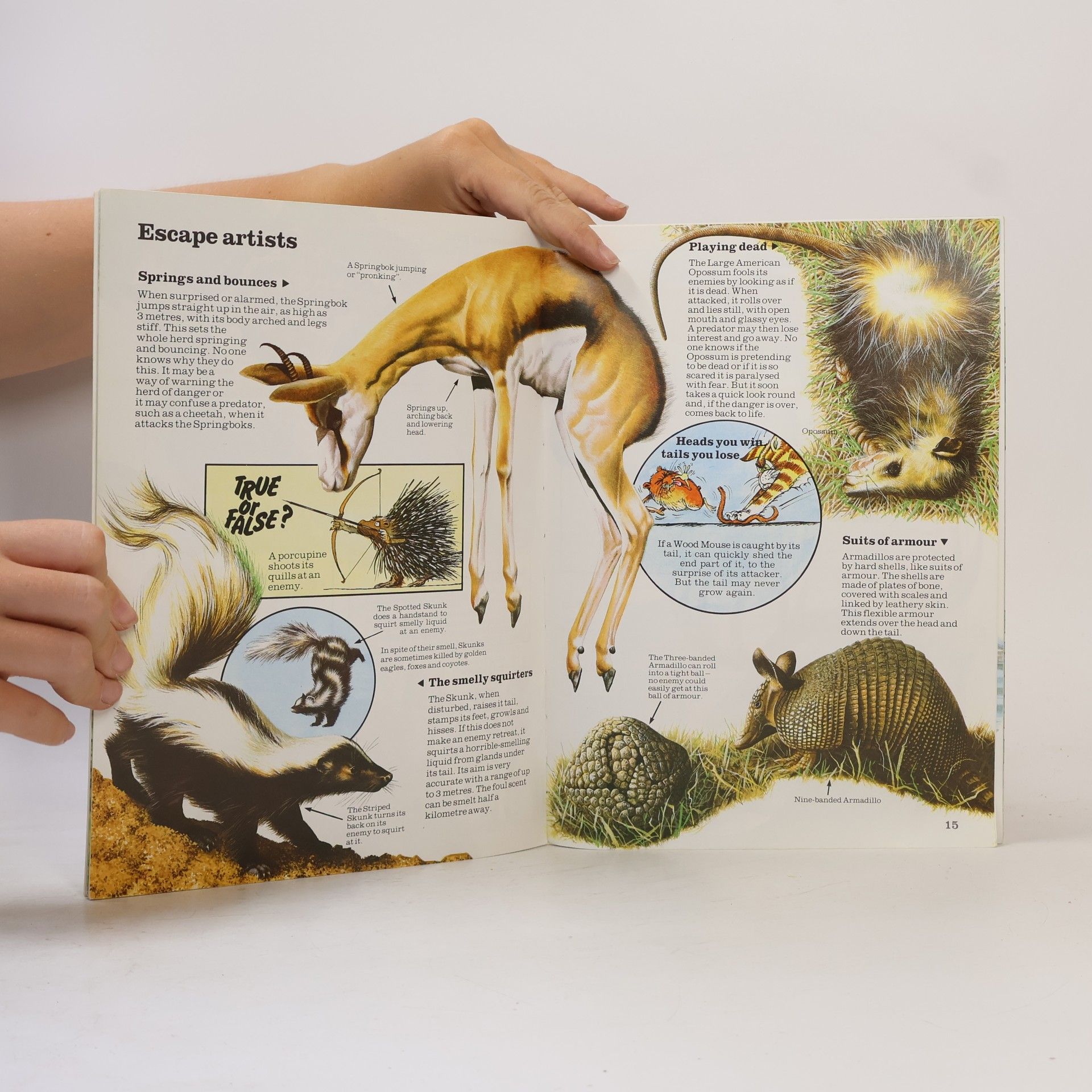 Karen Goaman Mysteries & Marvels: Animal World