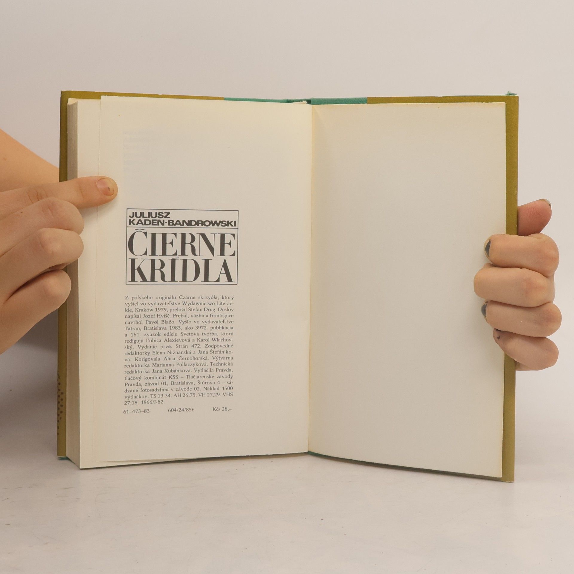 Juliusz Kaden-Bandrowski Čierne krídla