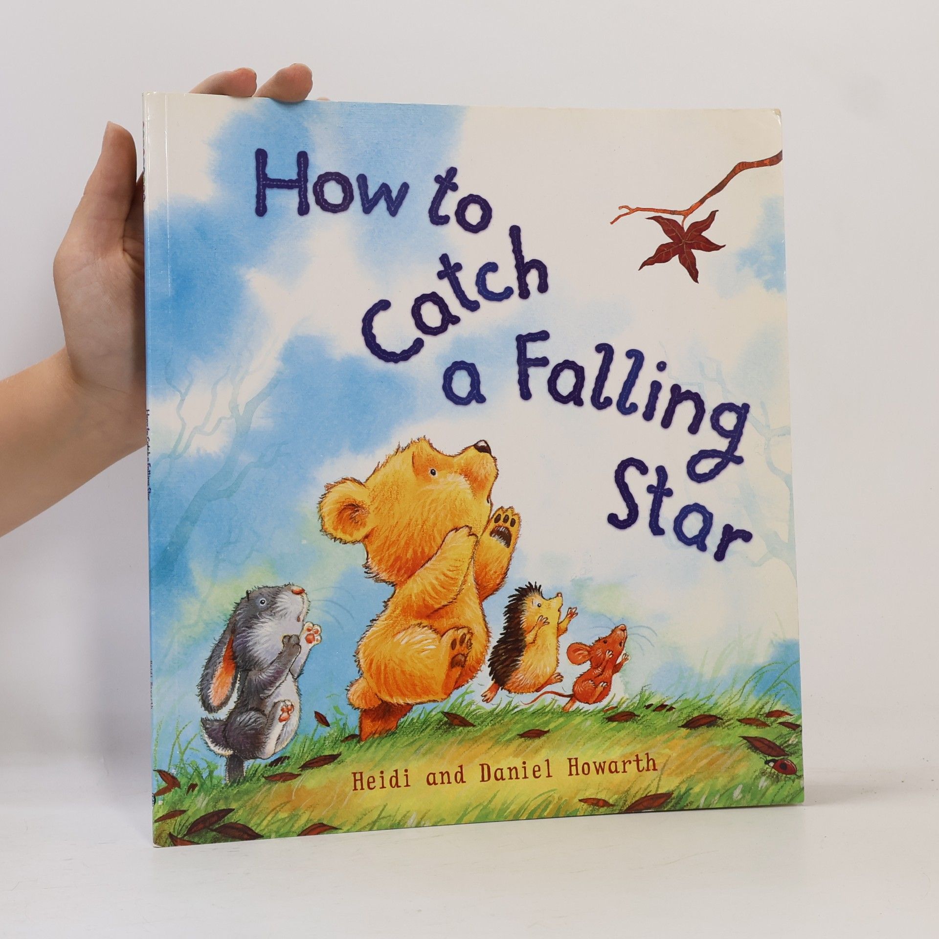Heidi Howarth How To Catch A Falling Star